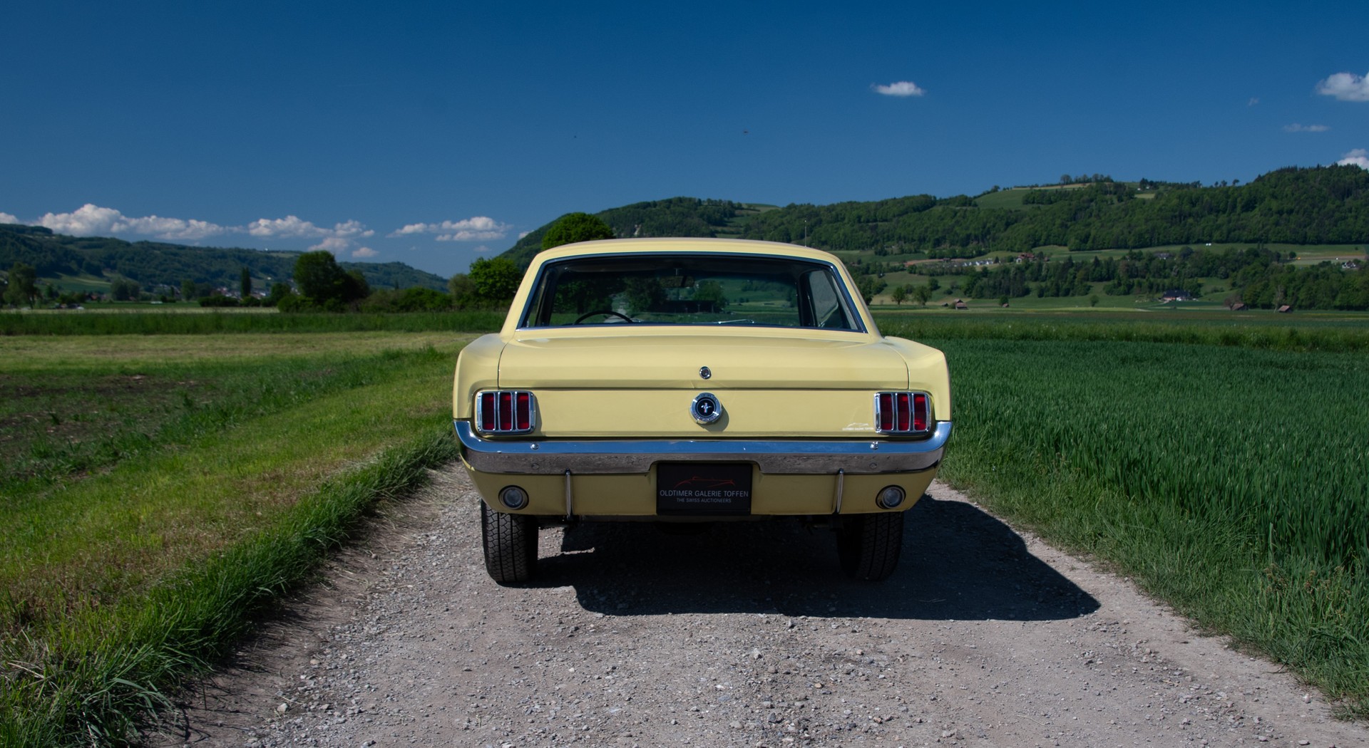 FORD 260 V8-image-14