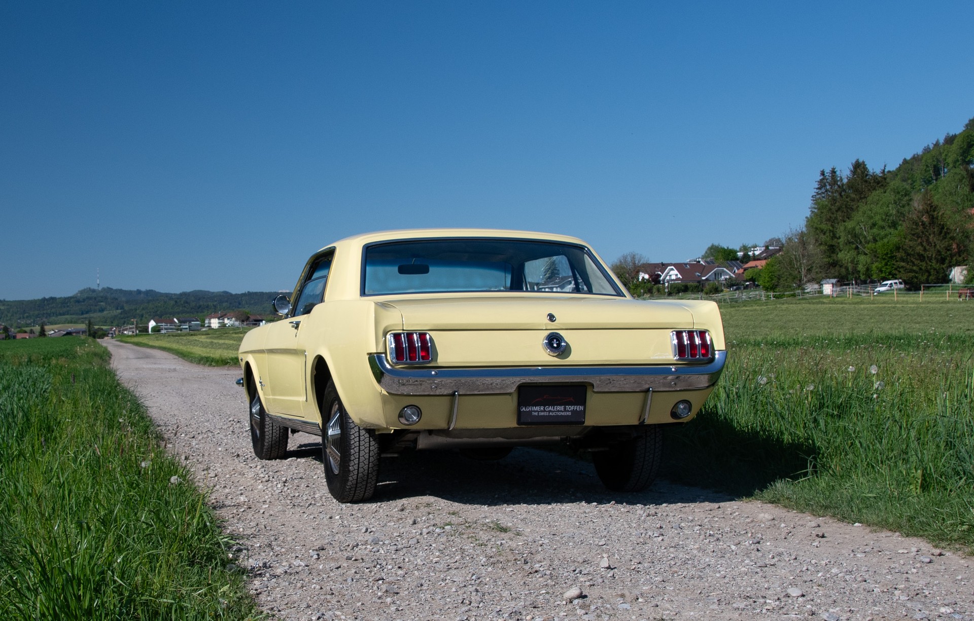FORD 260 V8-image-13