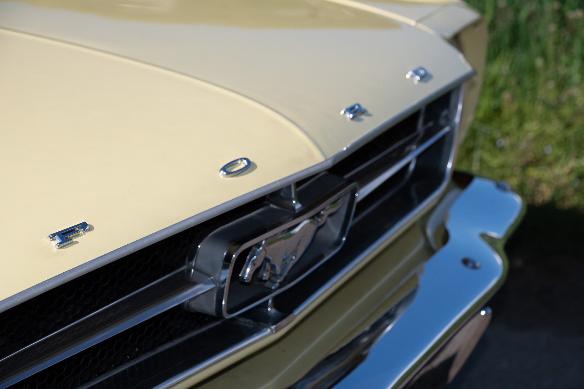 FORD 260 V8-image-2