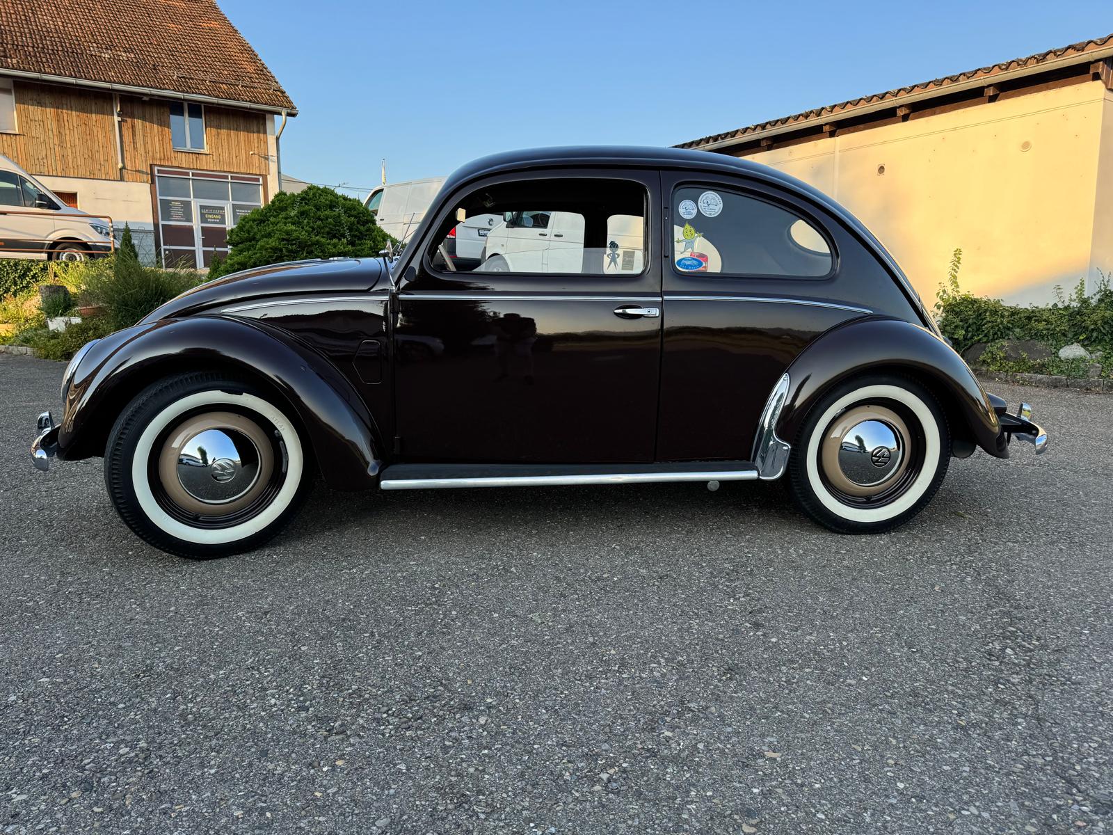 VW Käfer 10/11-image-4