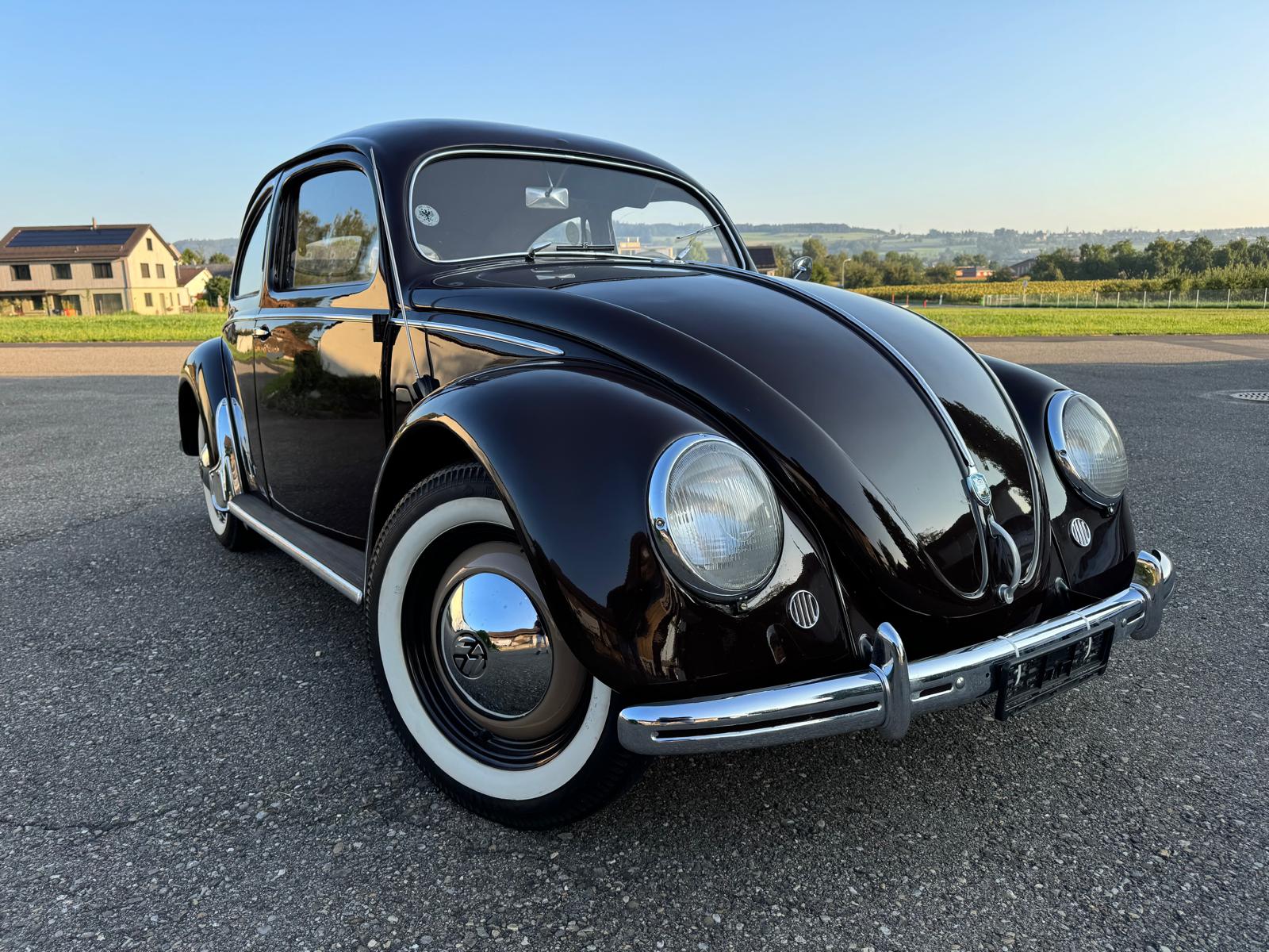 VW Käfer 10/11-image-0