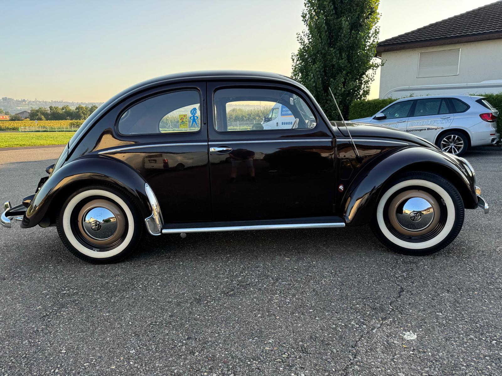 VW Käfer 10/11-image-3