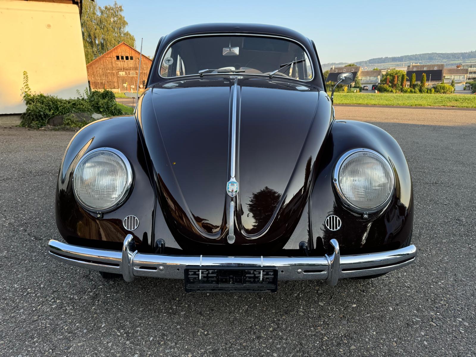 VW Käfer 10/11-image-2