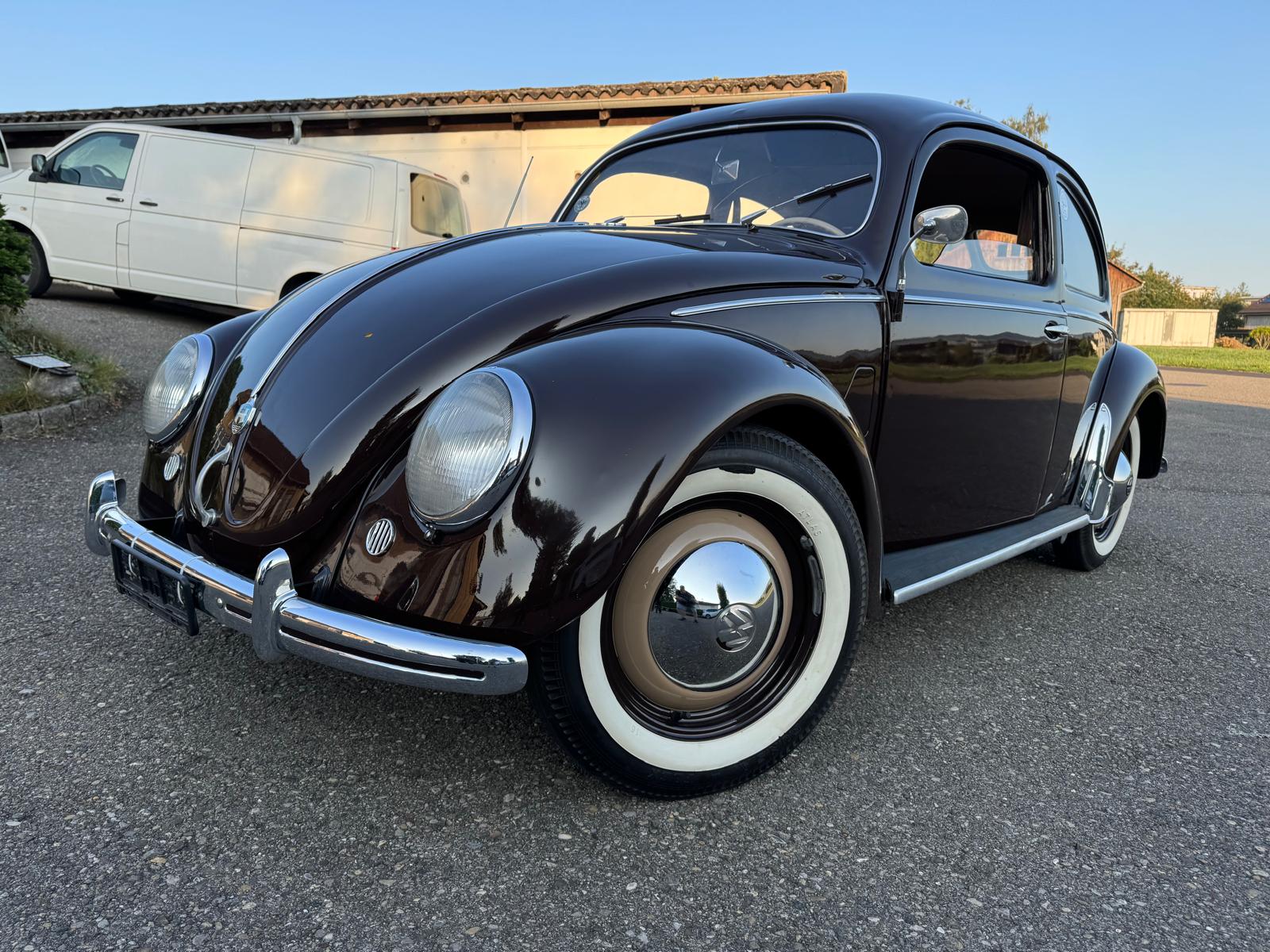 VW Käfer 10/11-image-1