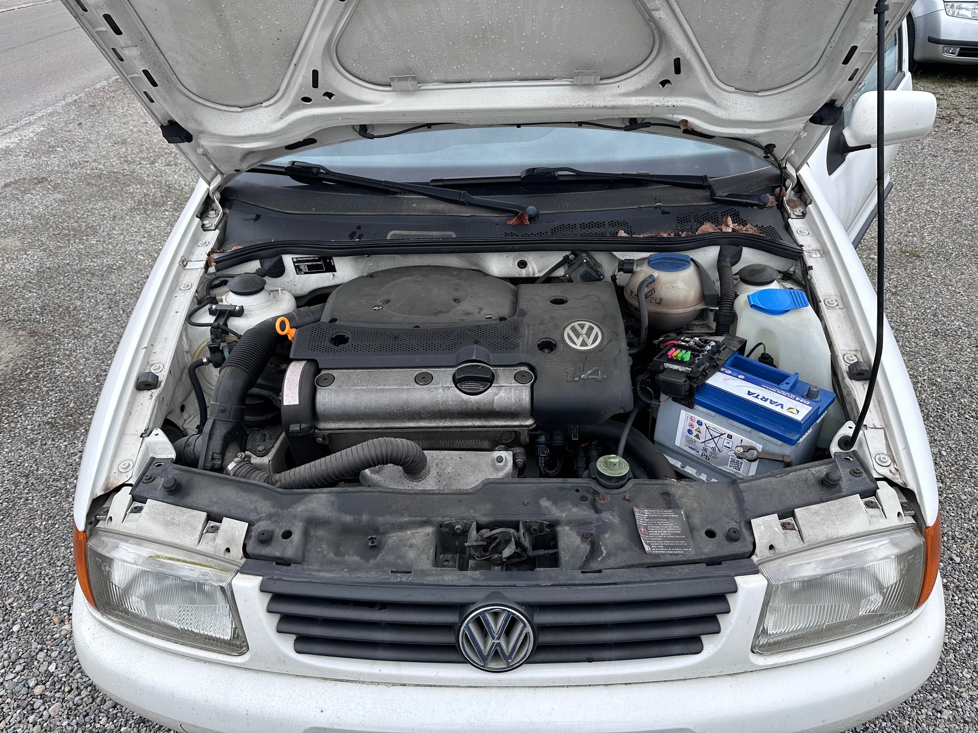 VW Polo 60 Swiss Line-image-11