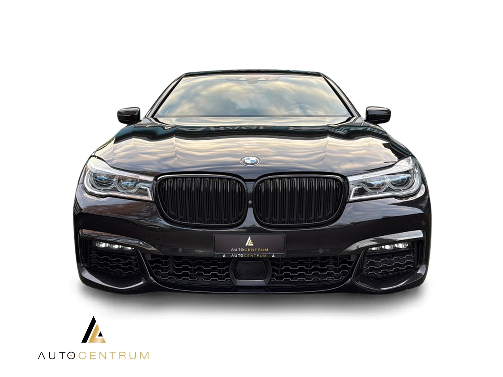 BMW 750Li xDrive Steptronic-image-5
