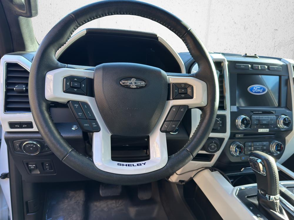 FORD F-Pickup Shelby-image-9