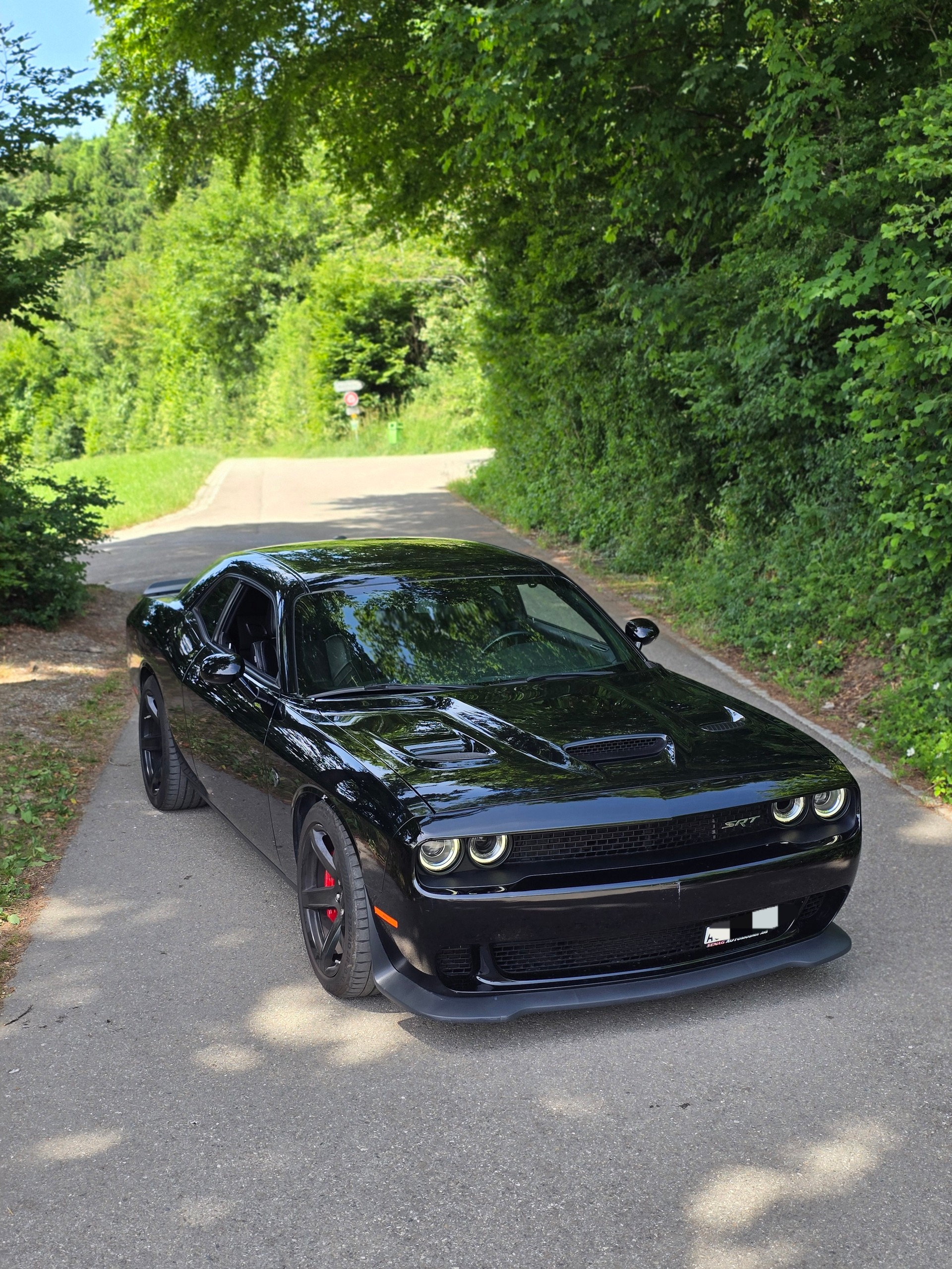 DODGE Challenger-image-0