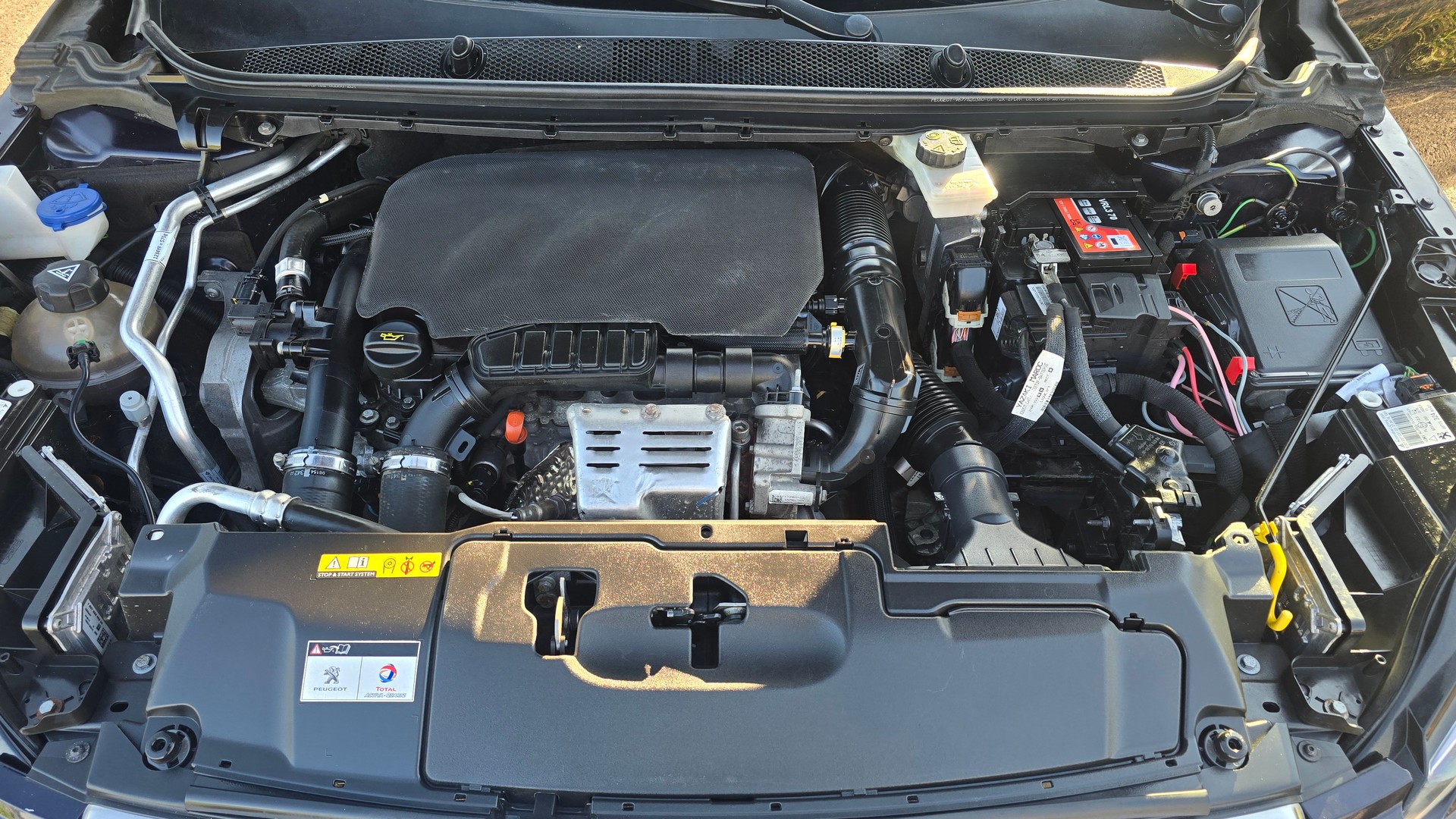 PEUGEOT 308 1.2 THP Allure, Zahnriemen neu-image-13