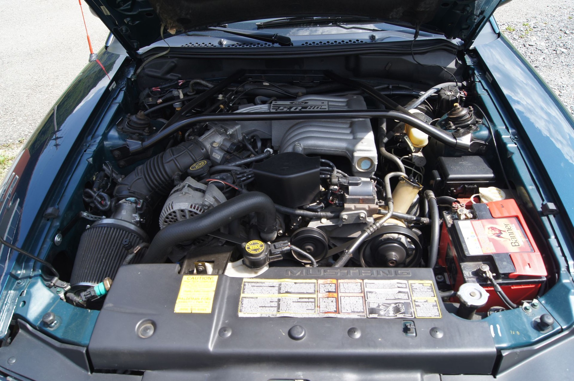 FORD MUSTANG-image-8