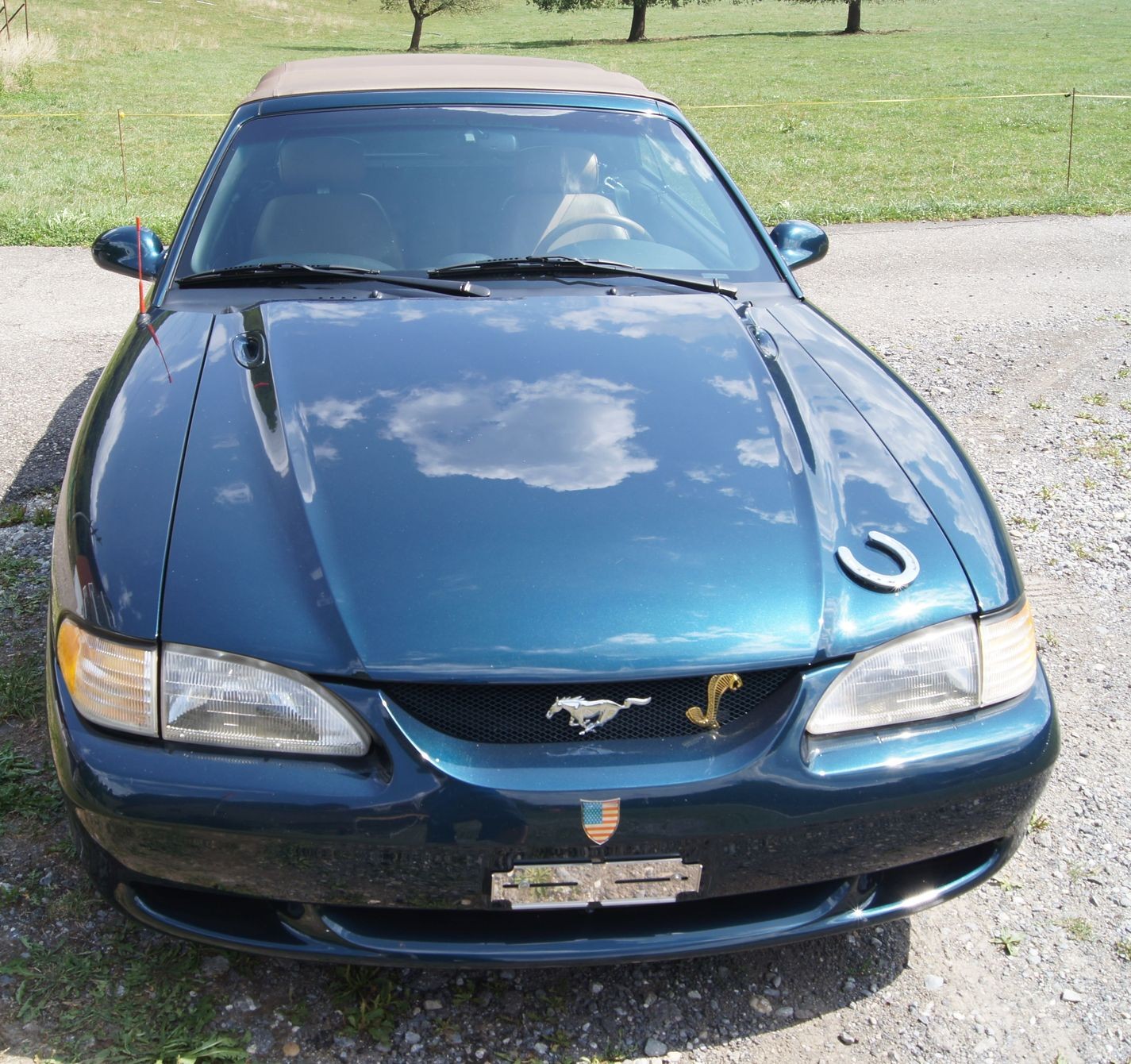 FORD MUSTANG-image-5