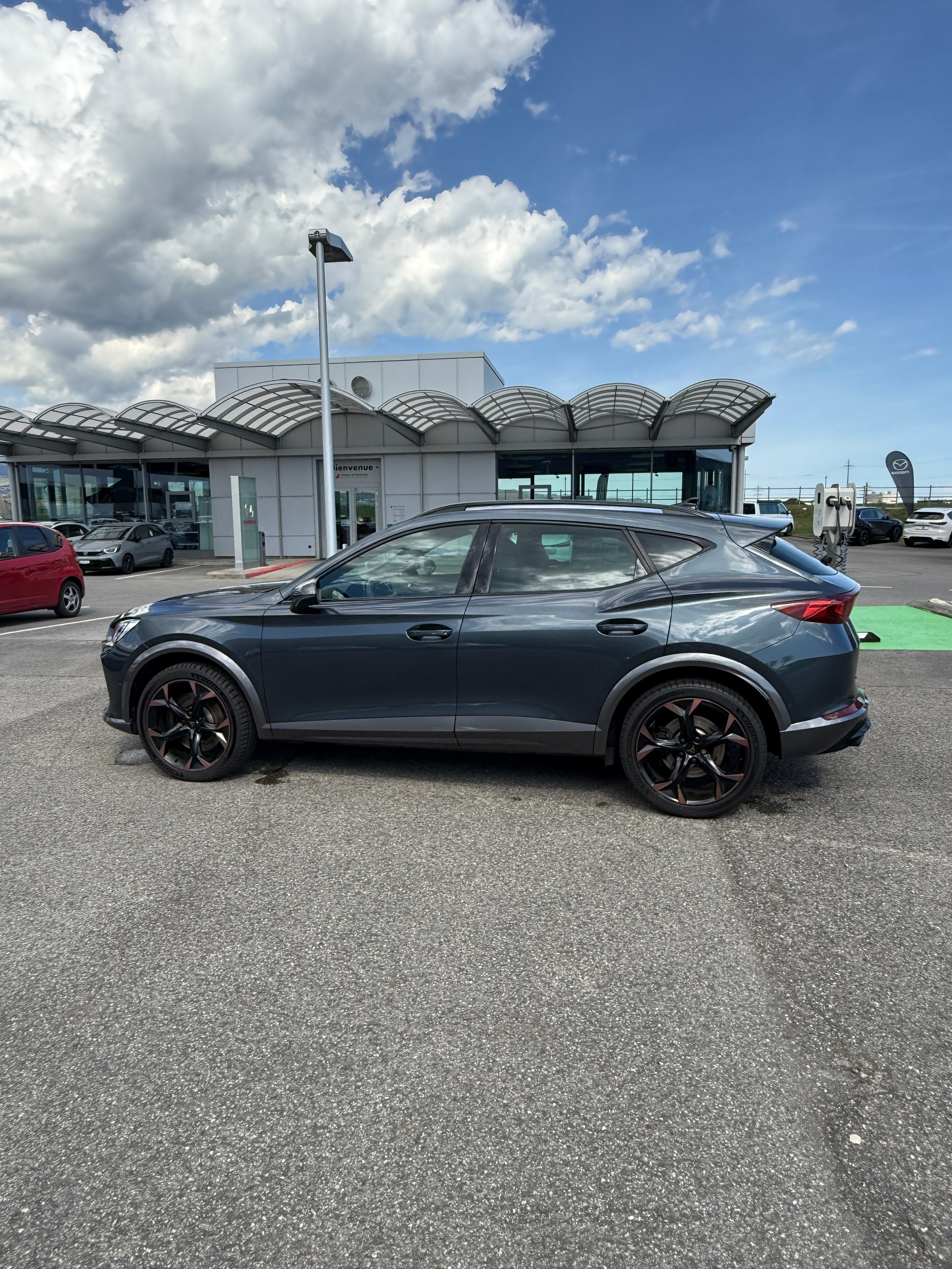 CUPRA Formentor 2.0 TSI VZ 4Drive DSG-image-6