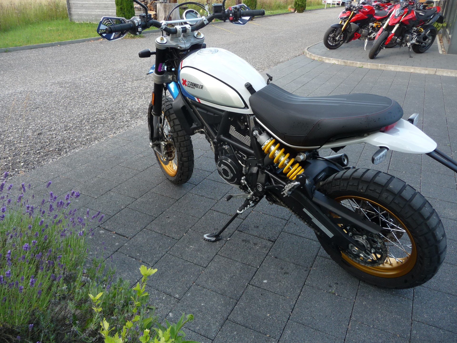 DUCATI Scrambler 803 Desert Sled-image-5