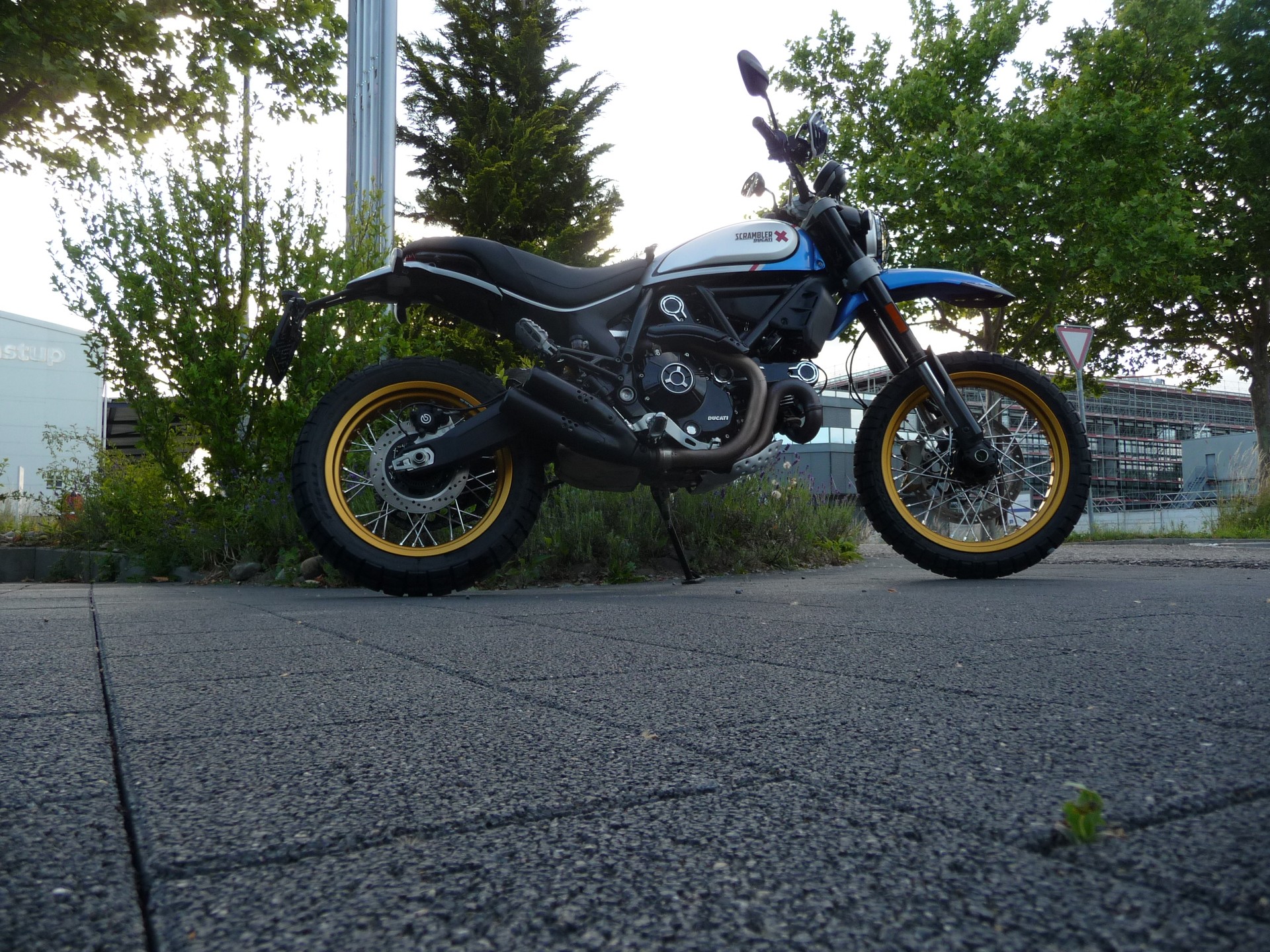 DUCATI Scrambler 803 Desert Sled-image-6