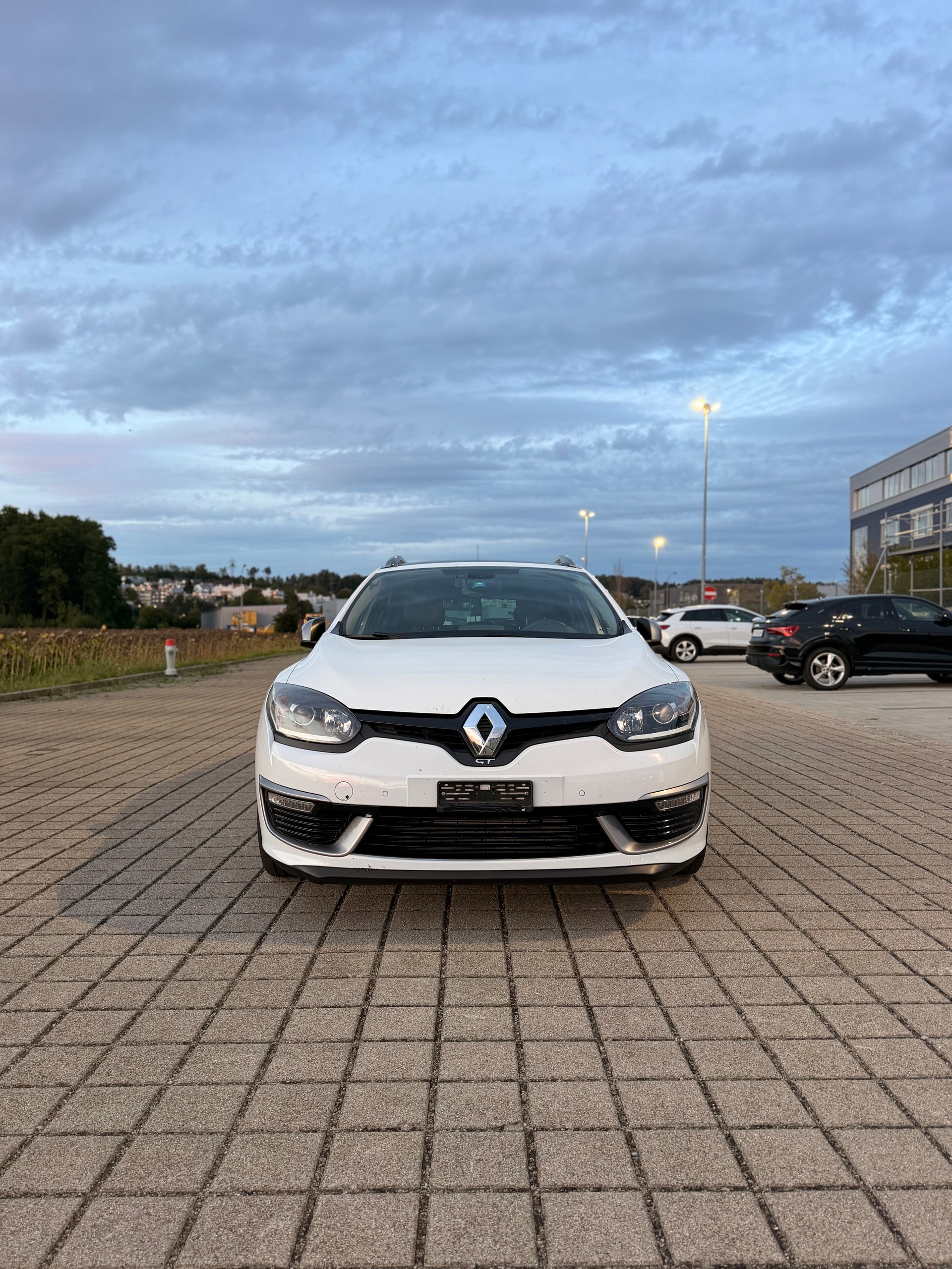 RENAULT Mégane Grandtour 2.0 16V Turbo GT-image-3