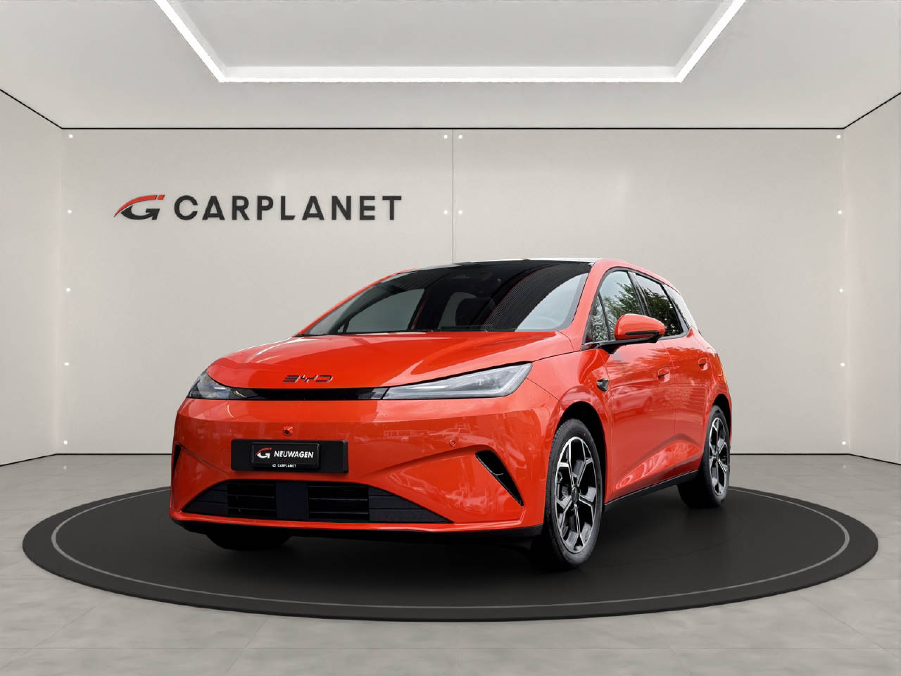 BYD Dolphin G DM-i Comfort Demo-image-2