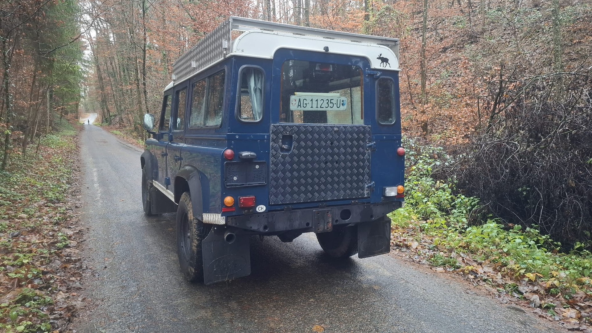 LAND ROVER Defender 110 SW 2.5 Td5-image-3