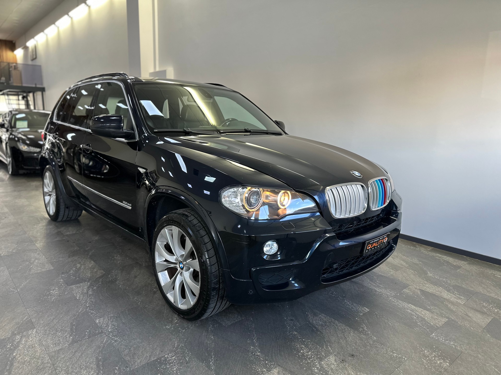 BMW X5 xDrive 35d (3.0sd) Steptronic-image-6