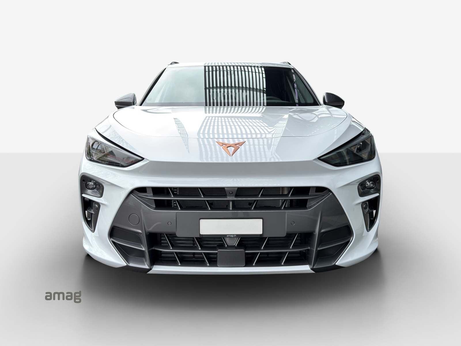 CUPRA Terramar 2.0 TSI Prime Edition DSG 4Drive-image-6