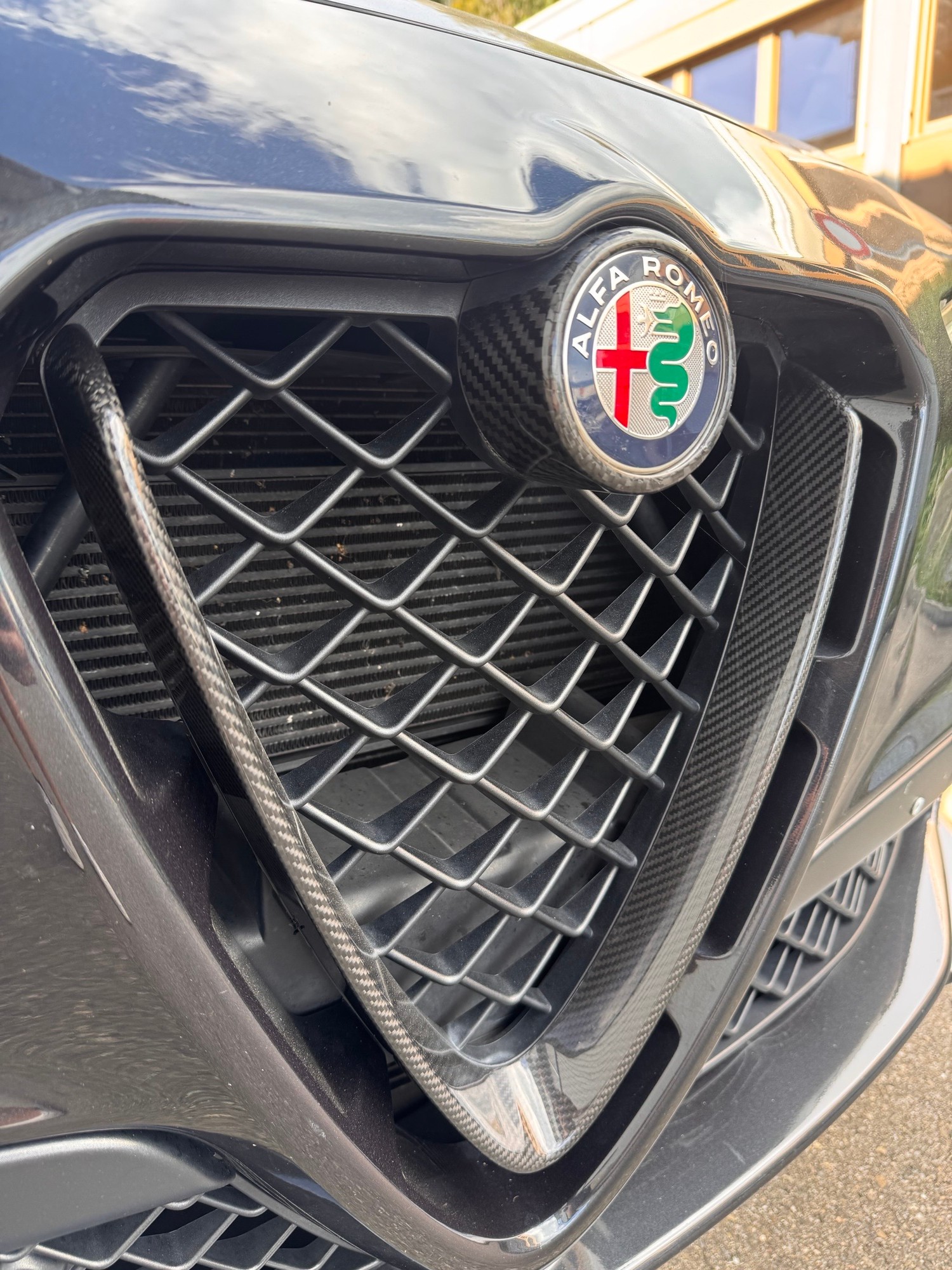 ALFA ROMEO Stelvio 2.9 V6 Quadrifoglio Q4 Automatic-image-11