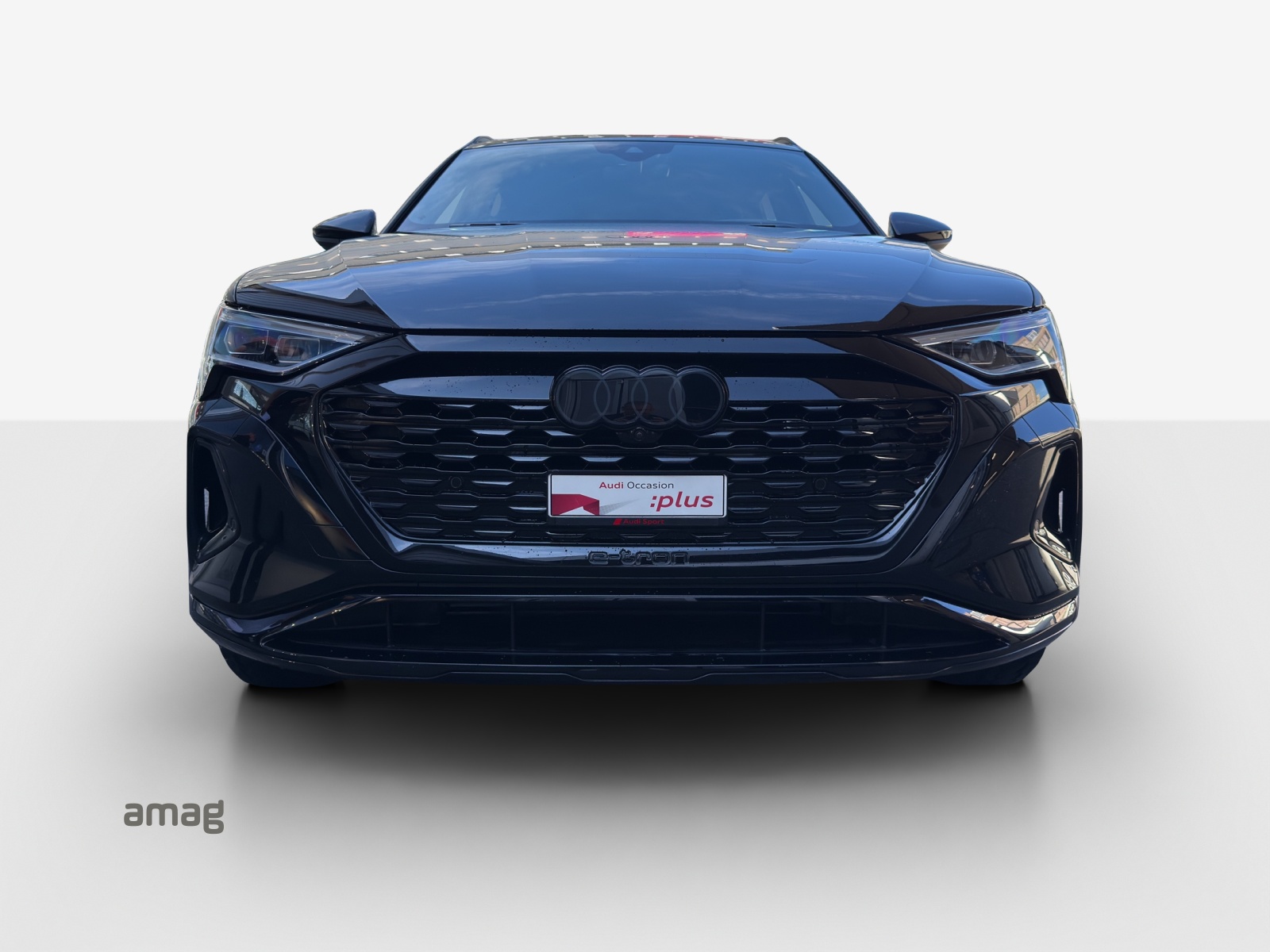 AUDI Q8 55 e-tron edition Dakar quattro-image-7