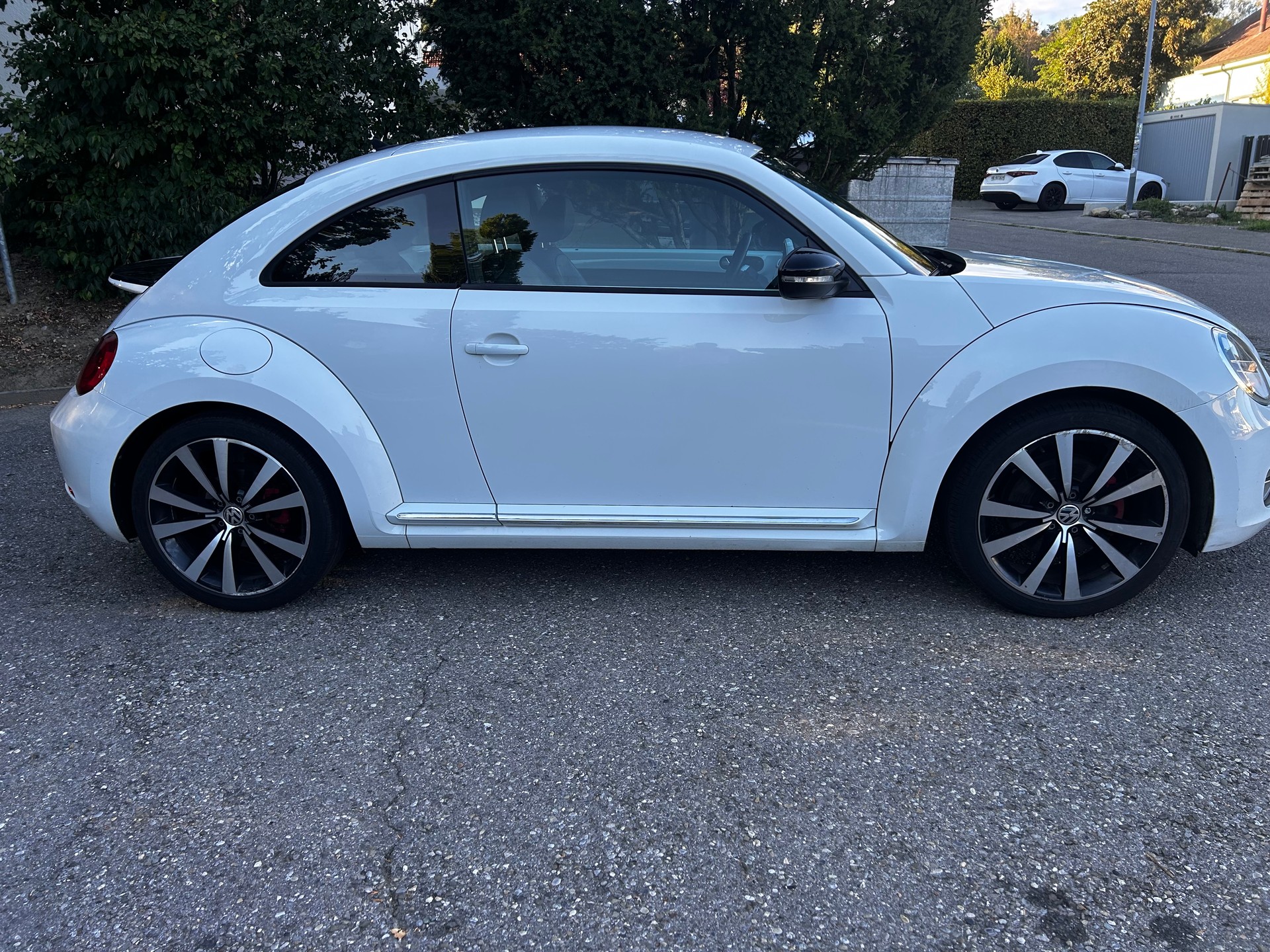 VW Vw BEETLE 2.0 Benzin-image-3