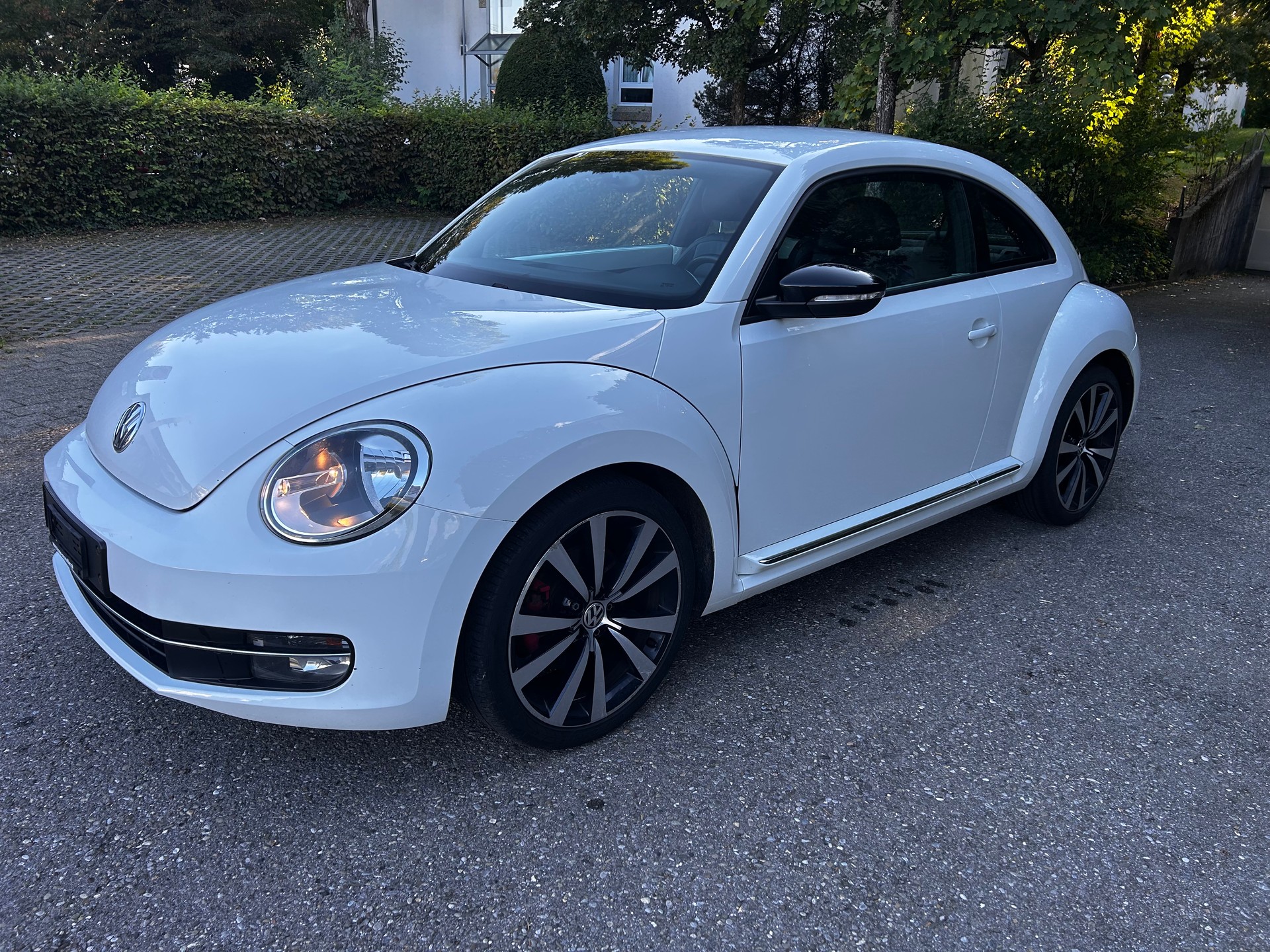 VW Vw BEETLE 2.0 Benzin-image-1