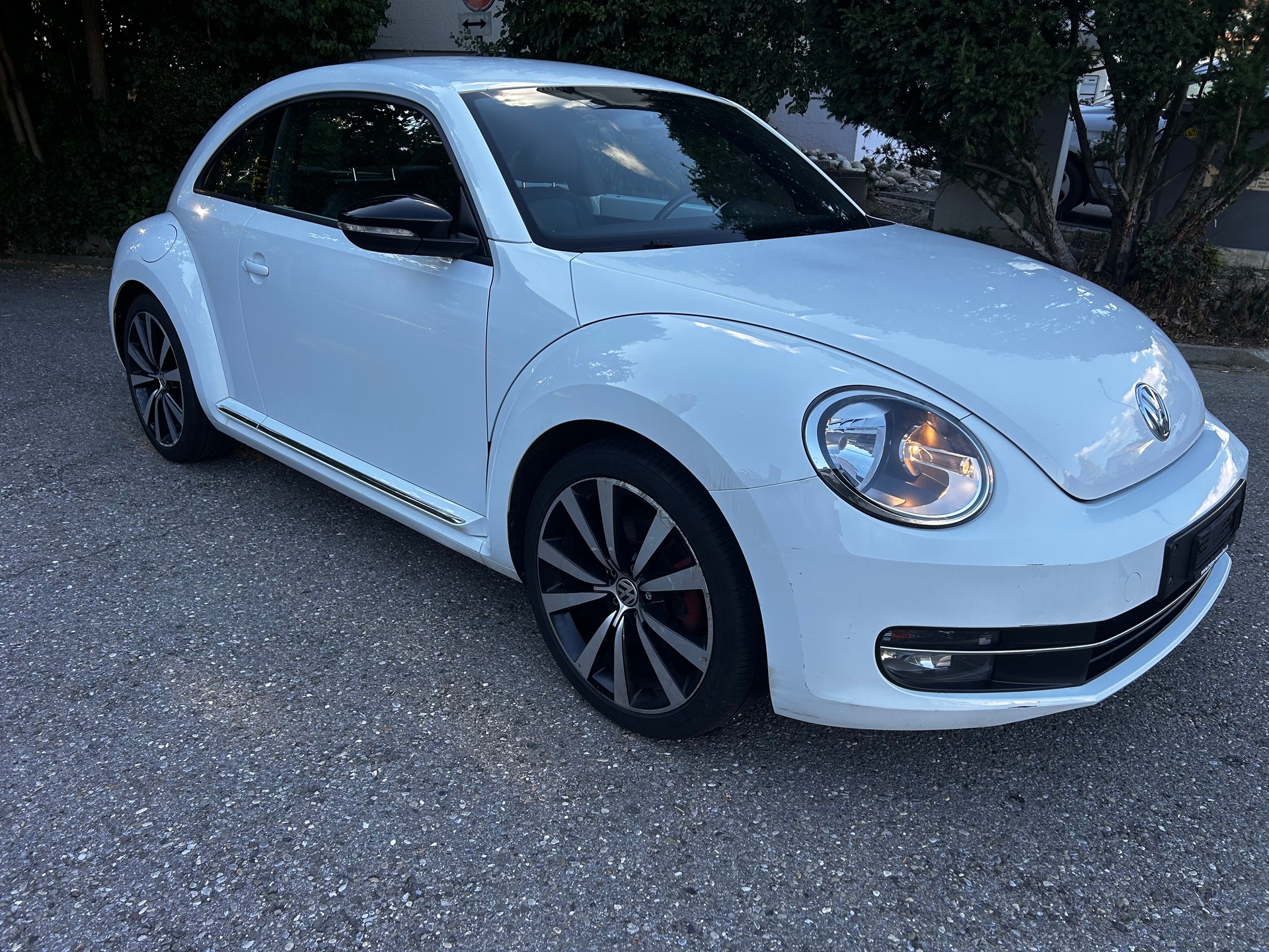 VW Vw BEETLE 2.0 Benzin-image-2