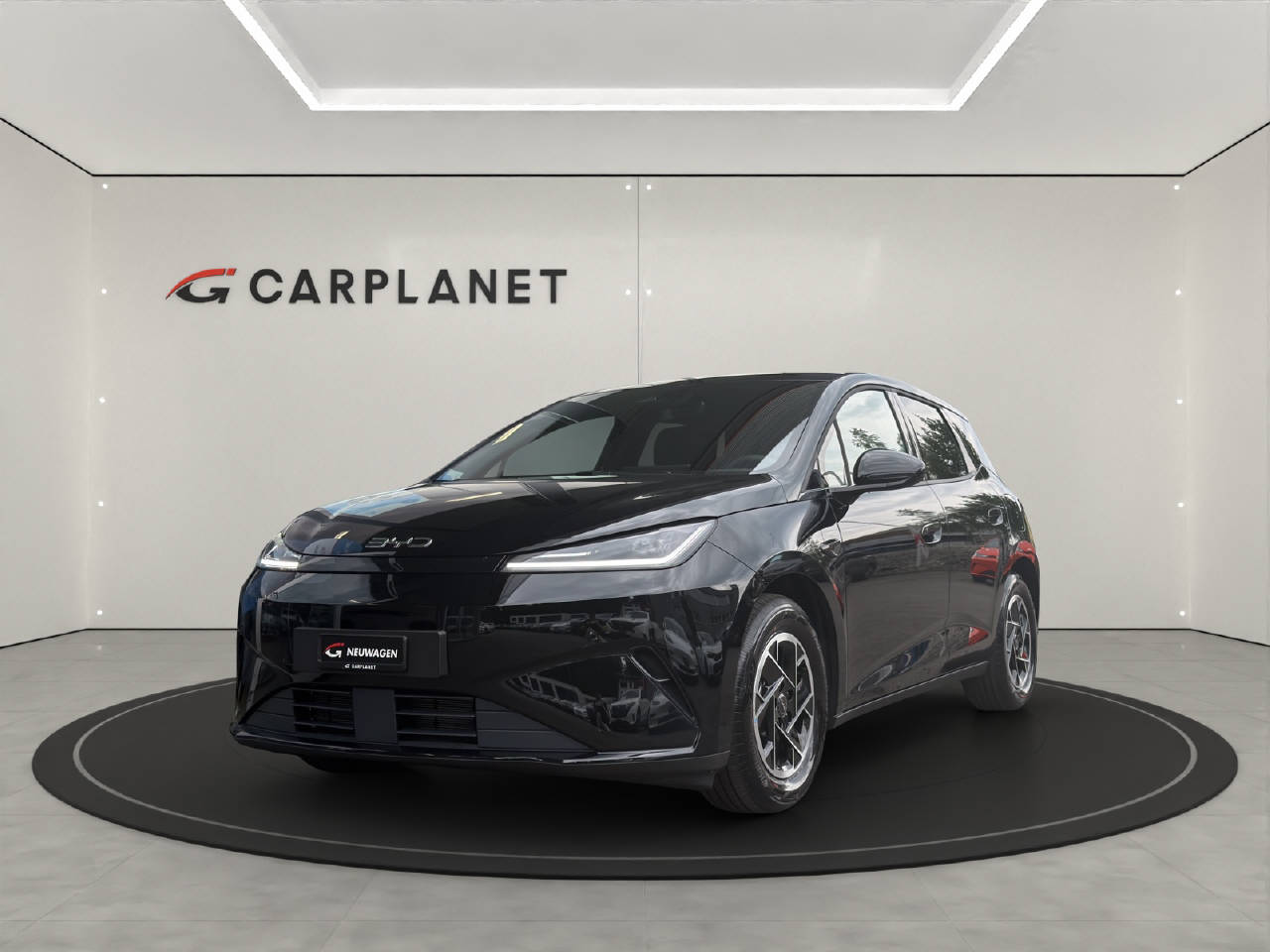 BYD Dolphin G DM-i Boost-image-0
