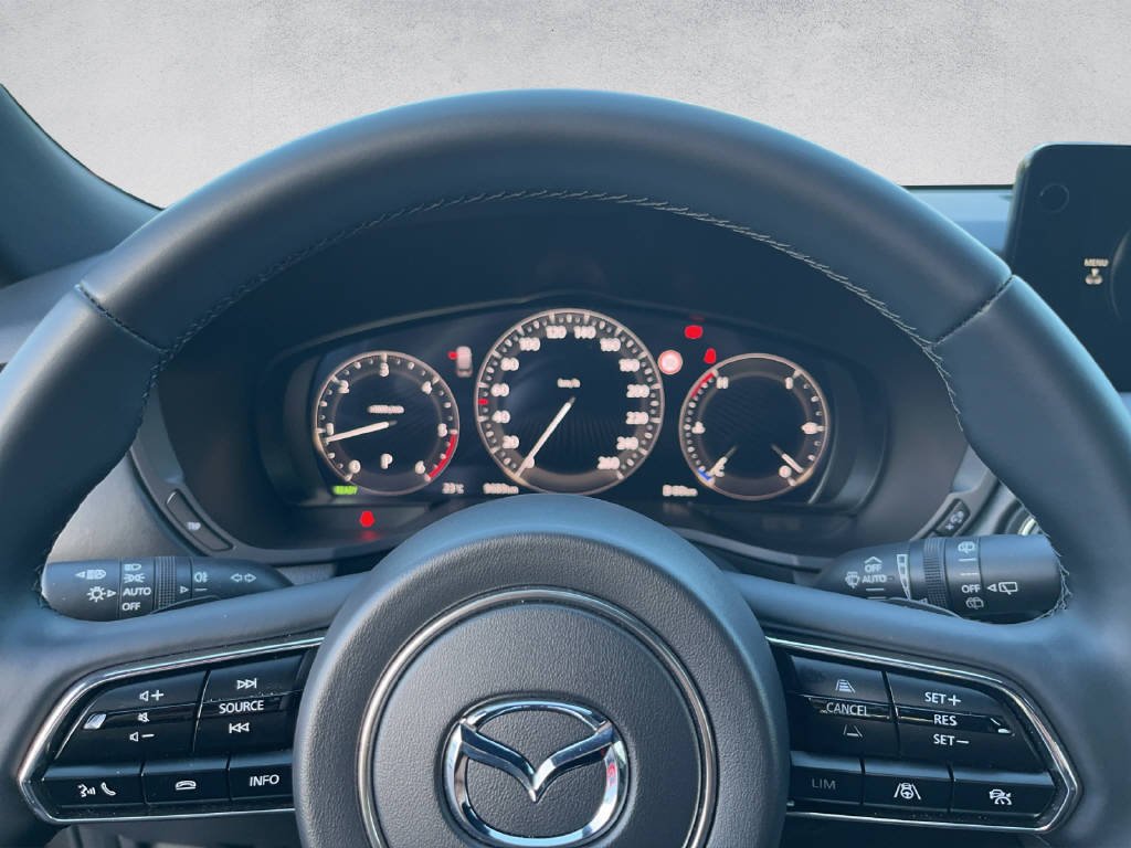 MAZDA CX-80 3.3 D Homura Plus-image-10