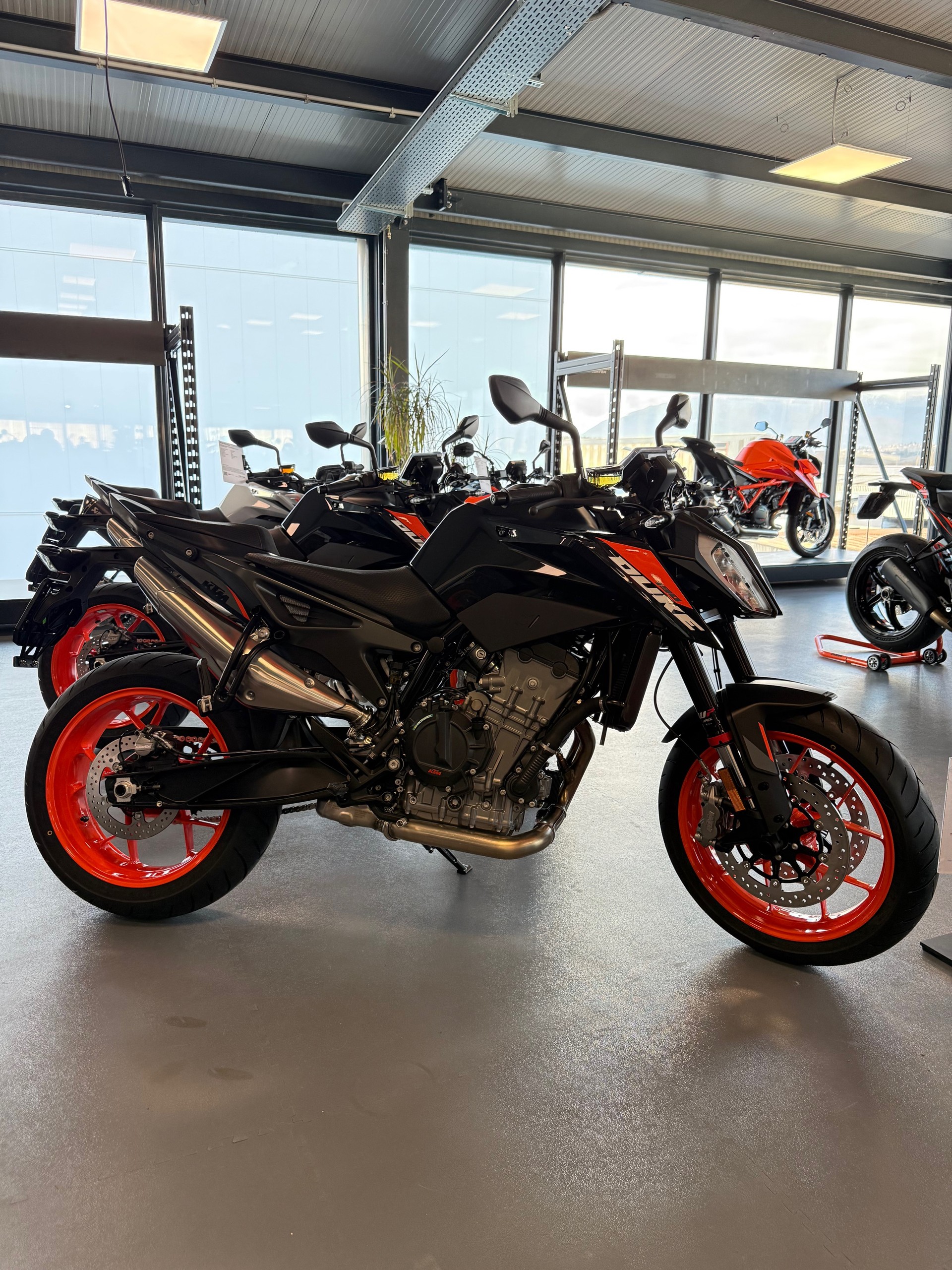 KTM 790 Duke 2026