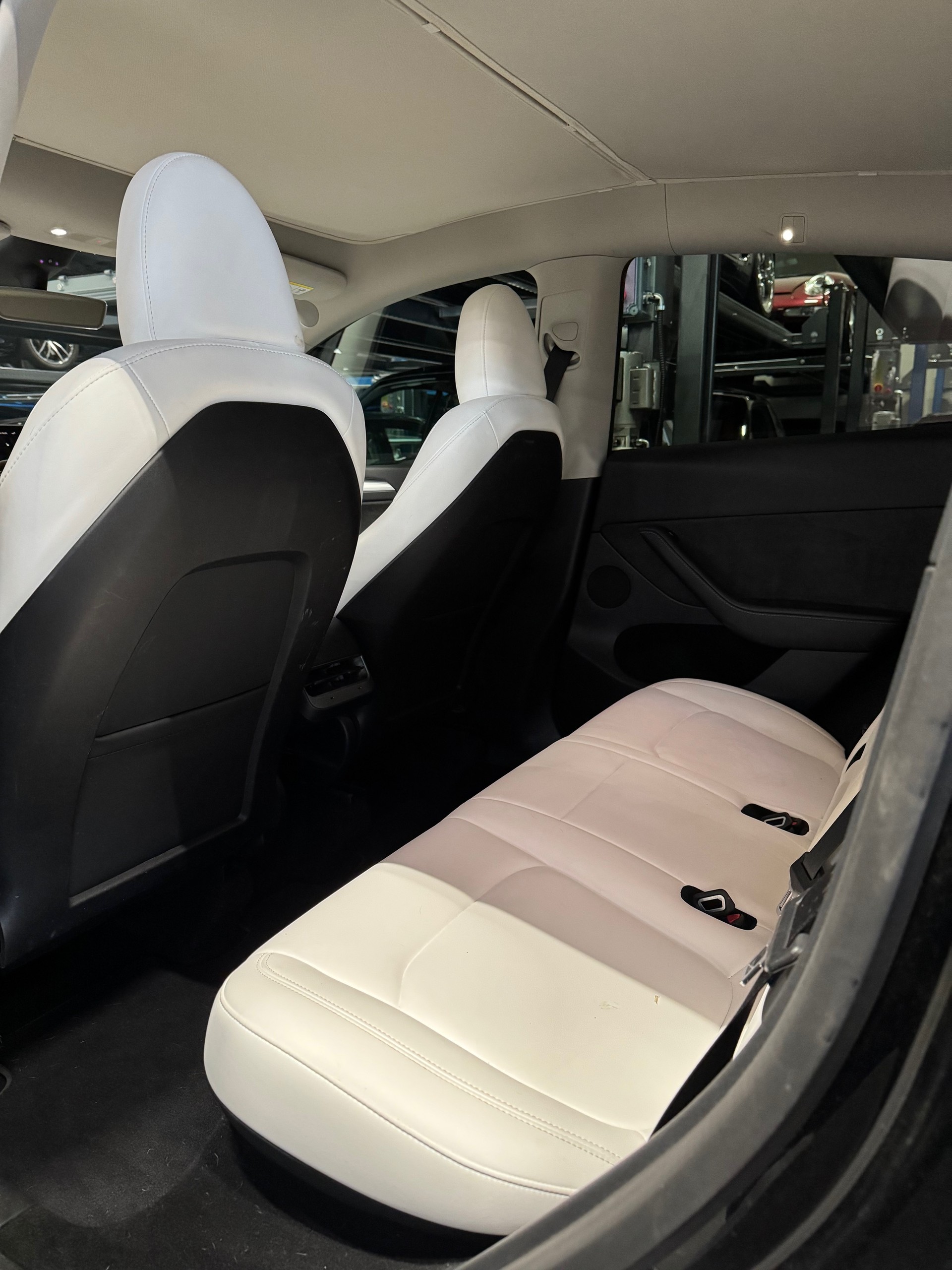 TESLA Model Y RWD-image-8