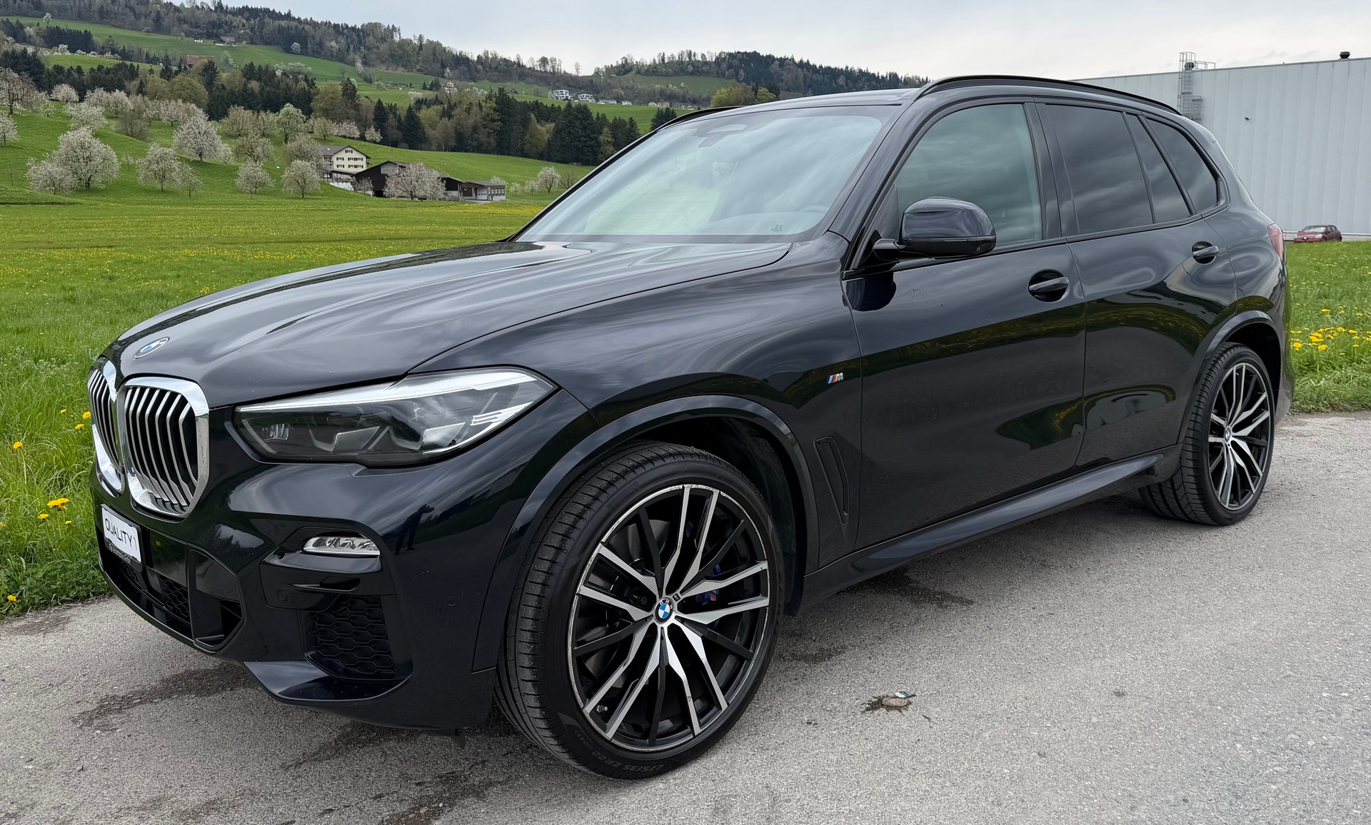 BMW X5 xDrive 30d Steptronic-image-1