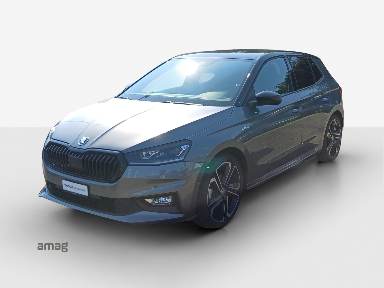 SKODA Fabia 1.0 TSI Monte Carlo-image-0