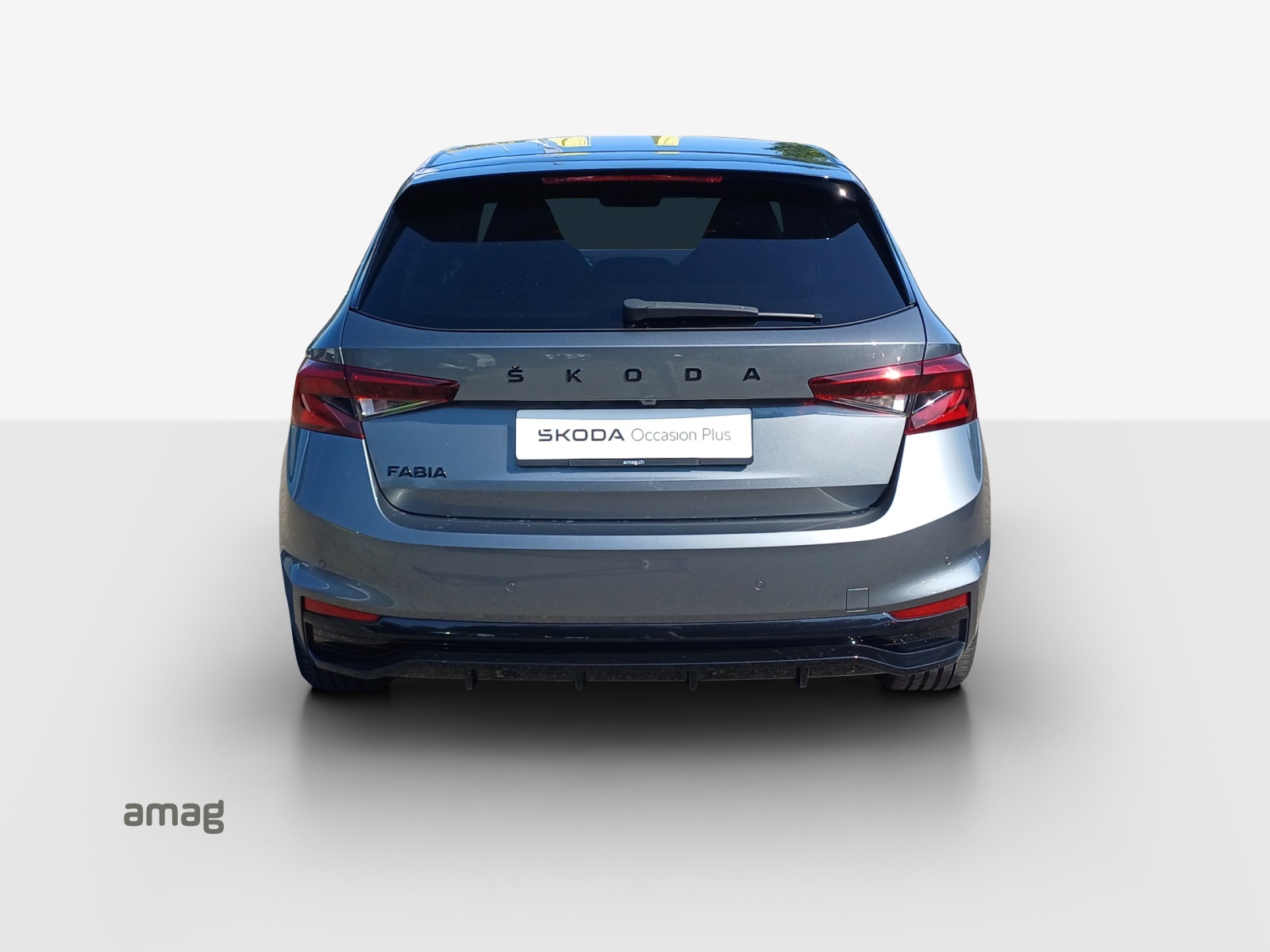 SKODA Fabia 1.0 TSI Monte Carlo-image-3