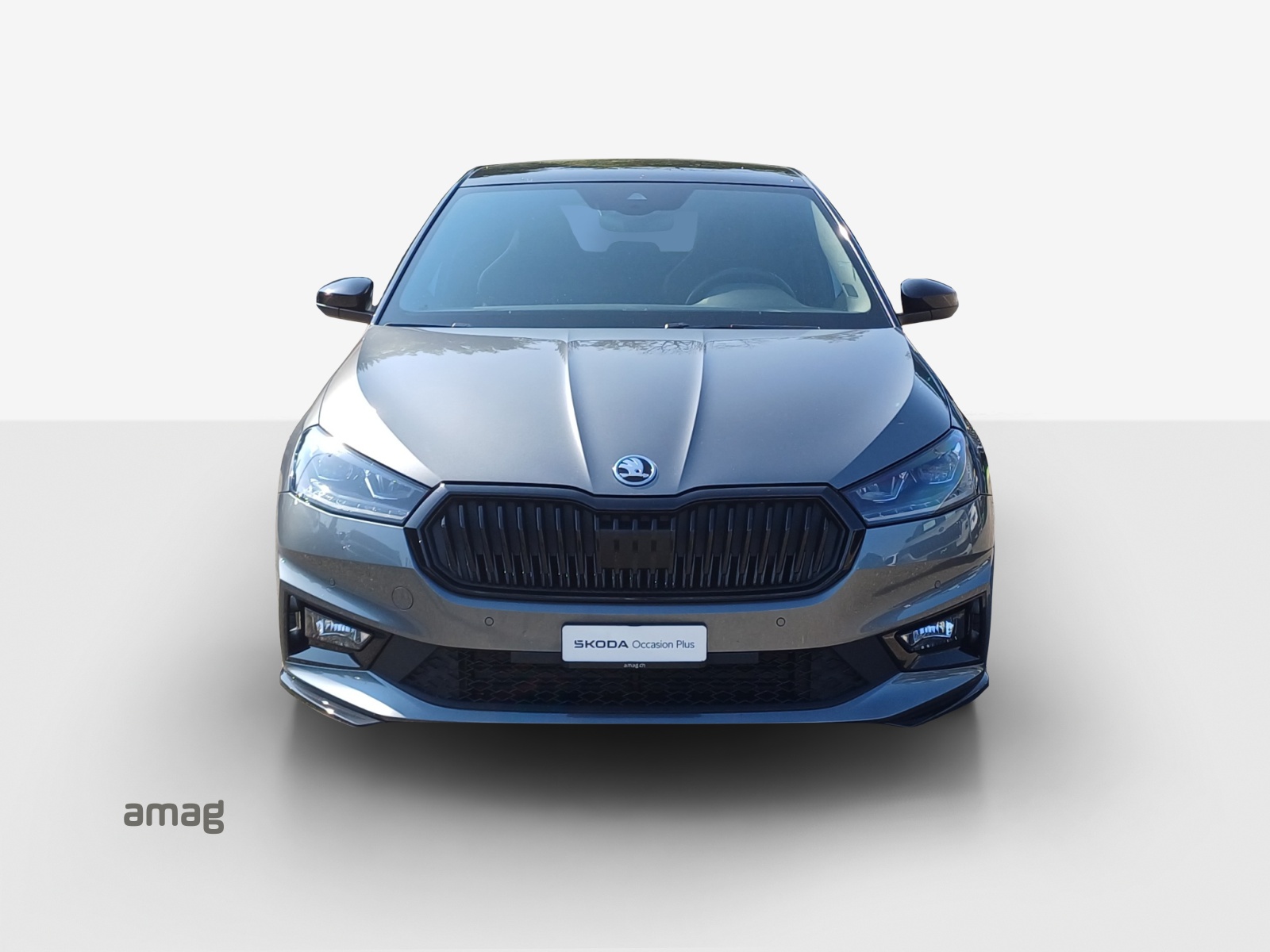 SKODA Fabia 1.0 TSI Monte Carlo-image-6