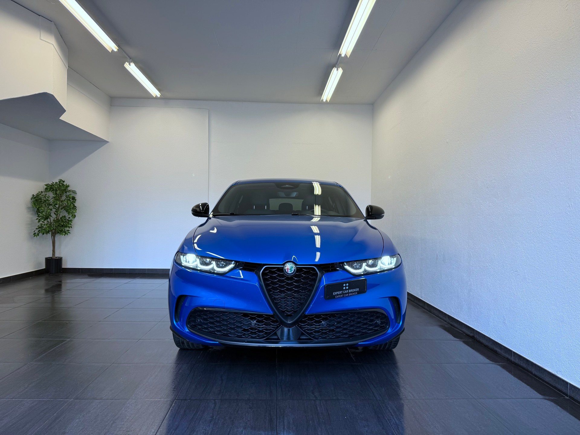 ALFA ROMEO Tonale 1.5 48V Hybrid Speciale-image-3