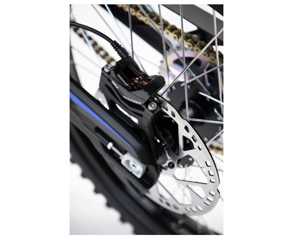 TALARIA Sting R L3e-image-11
