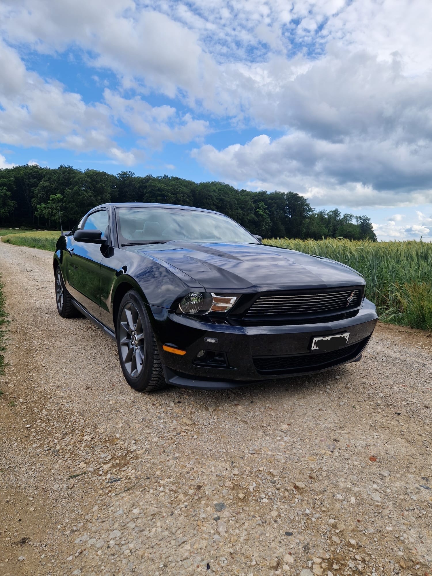 FORD MUSTANG-image-1