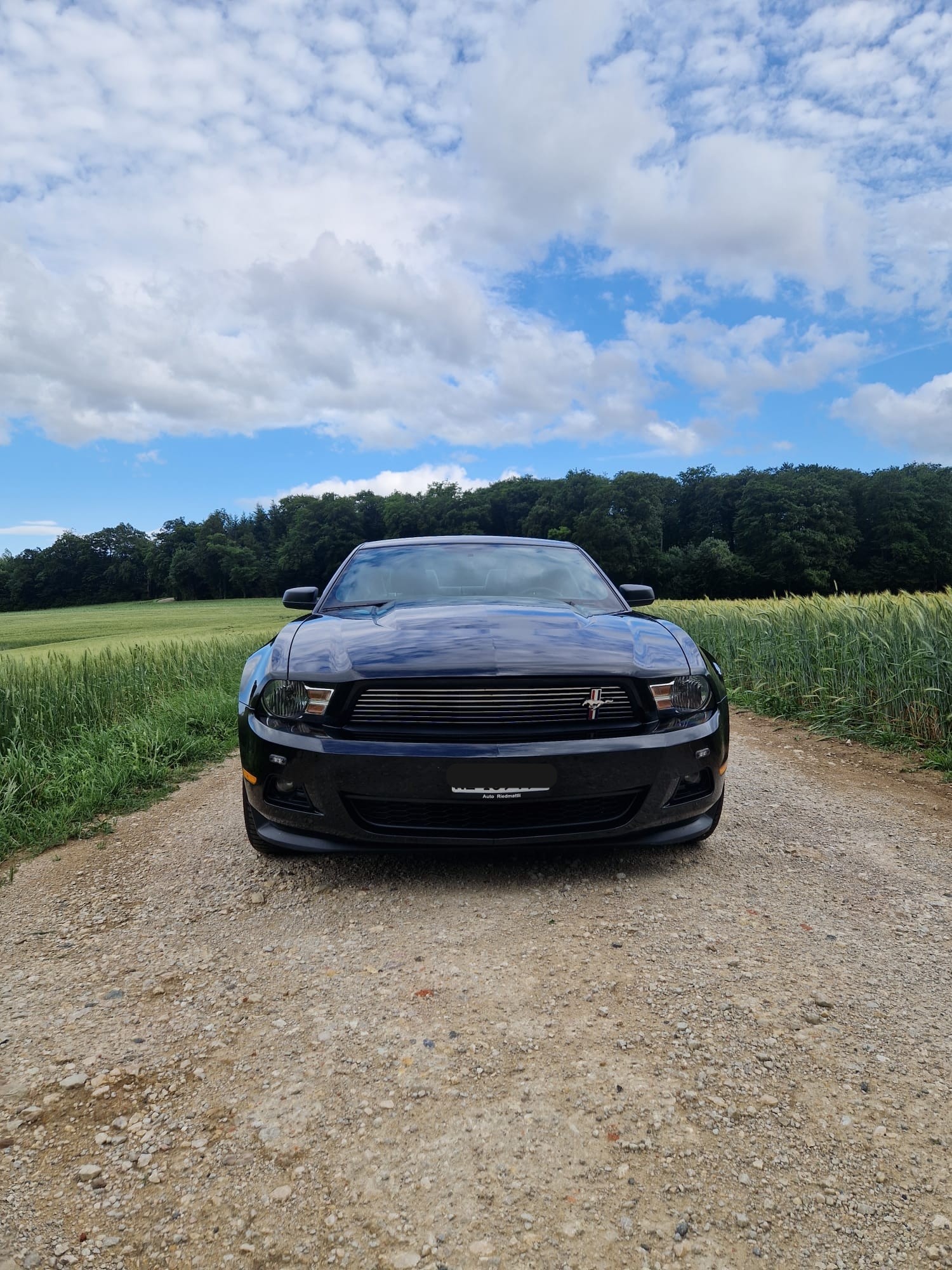 FORD MUSTANG-image-2