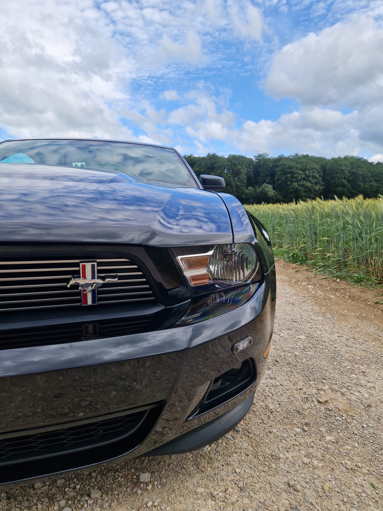 FORD MUSTANG-image-6