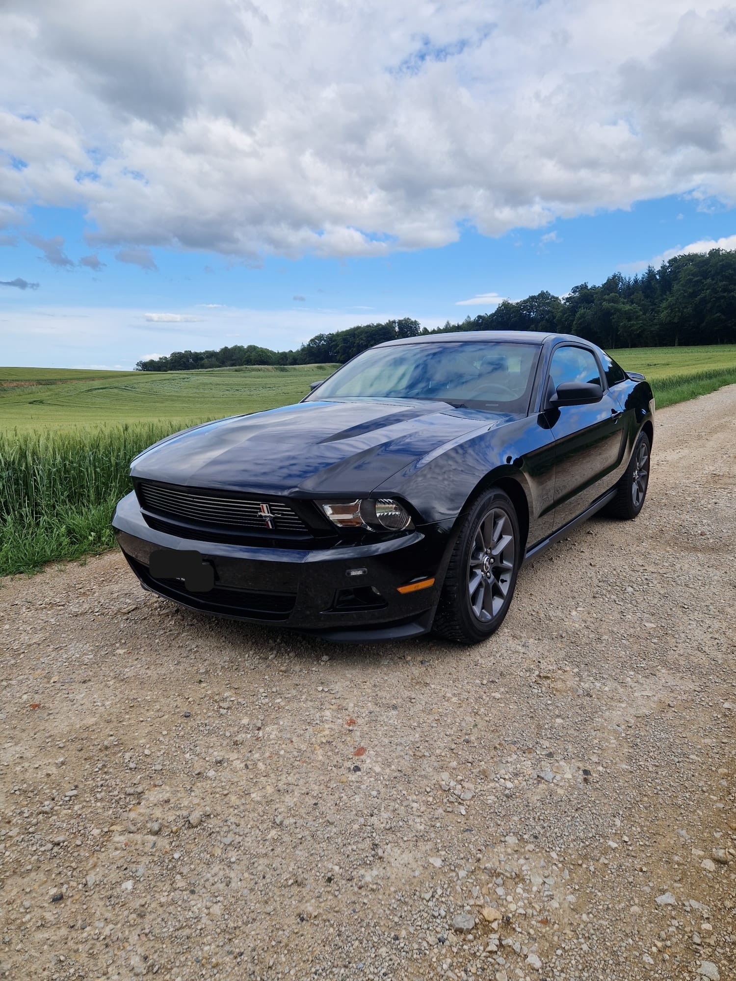 FORD MUSTANG-image-0