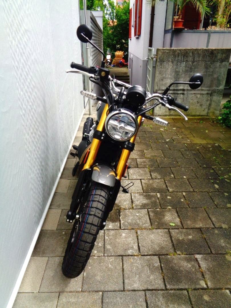 ROYAL ENFIELD BEAR 650-showroom-element-3