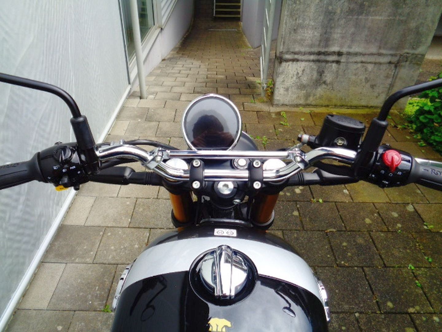ROYAL ENFIELD BEAR 650-image-9