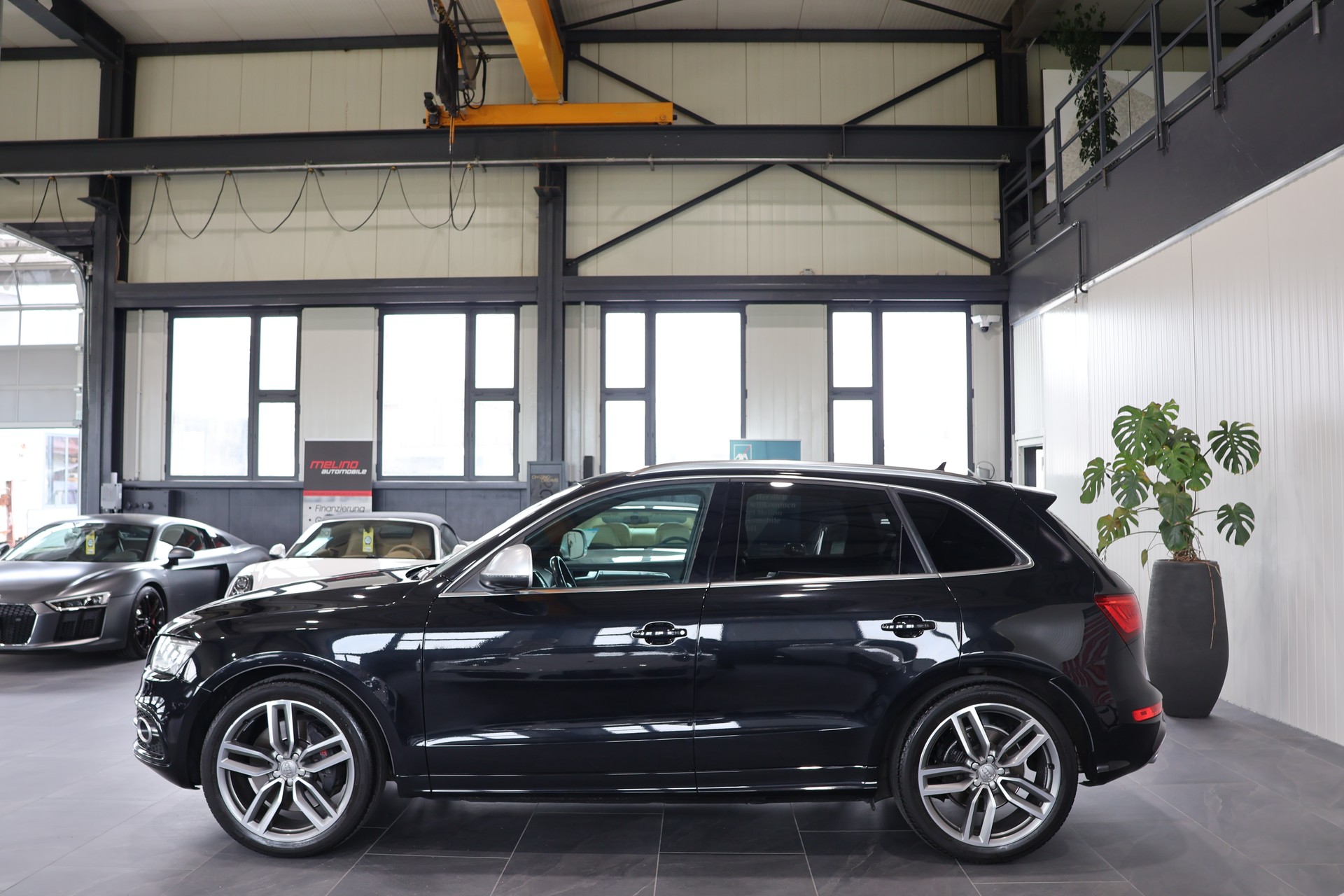 AUDI SQ5 3.0 TDI quattro tiptronic-image-4