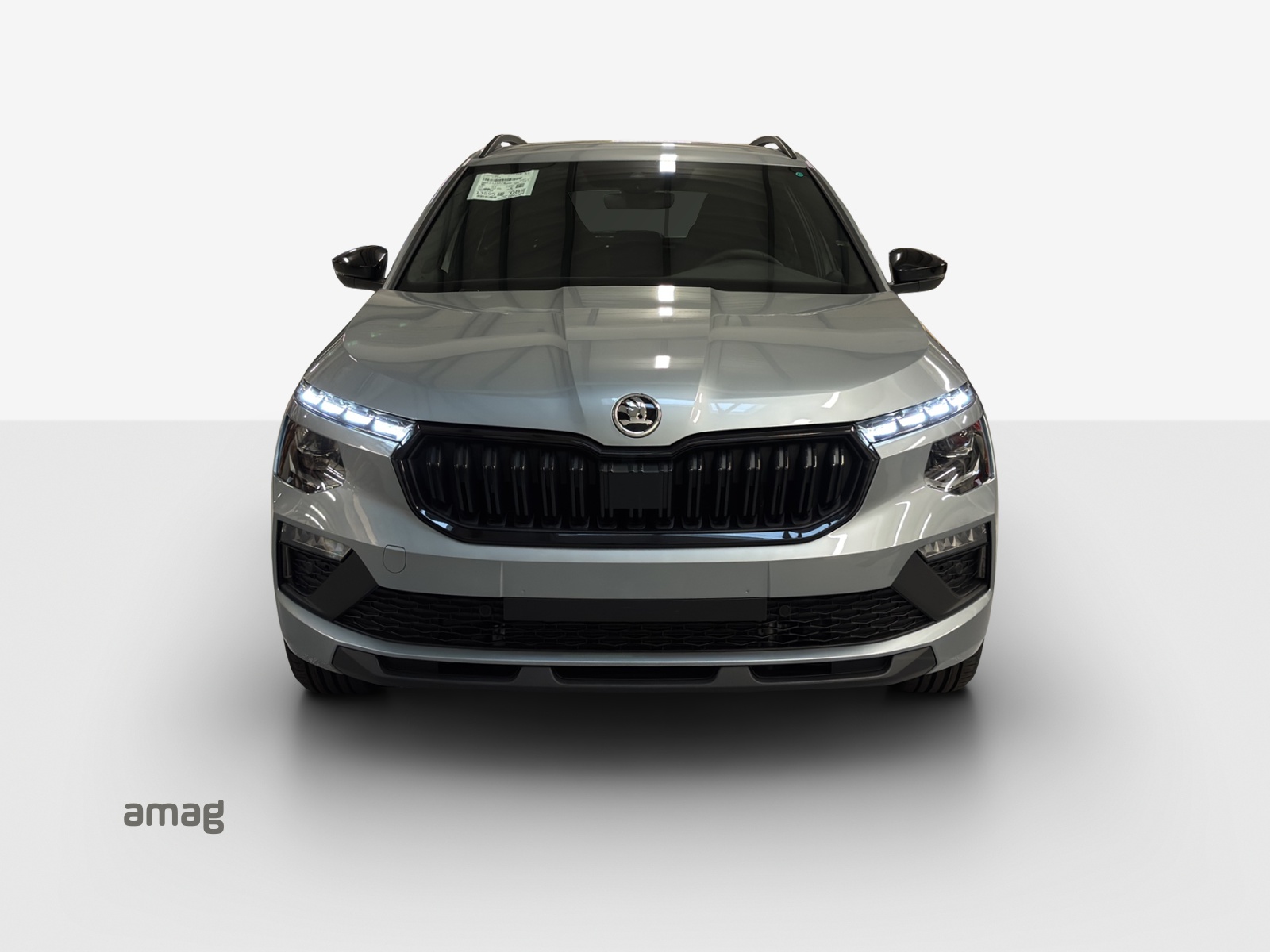 SKODA Kamiq 1.5 TSI Dynamic DSG-image-6