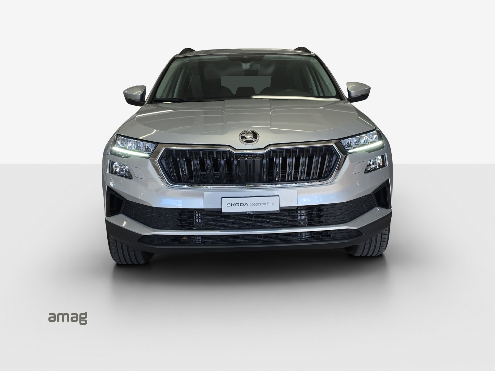 SKODA Karoq 2.0 TDI CR Selection 4x4 DSG-image-6