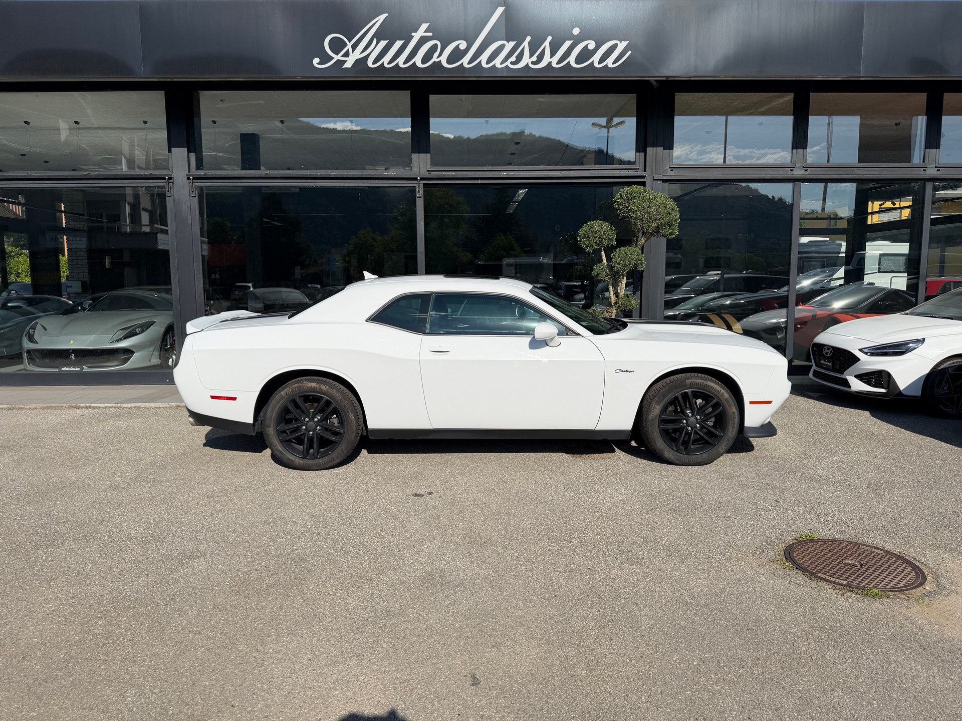 DODGE Challenger-image-3