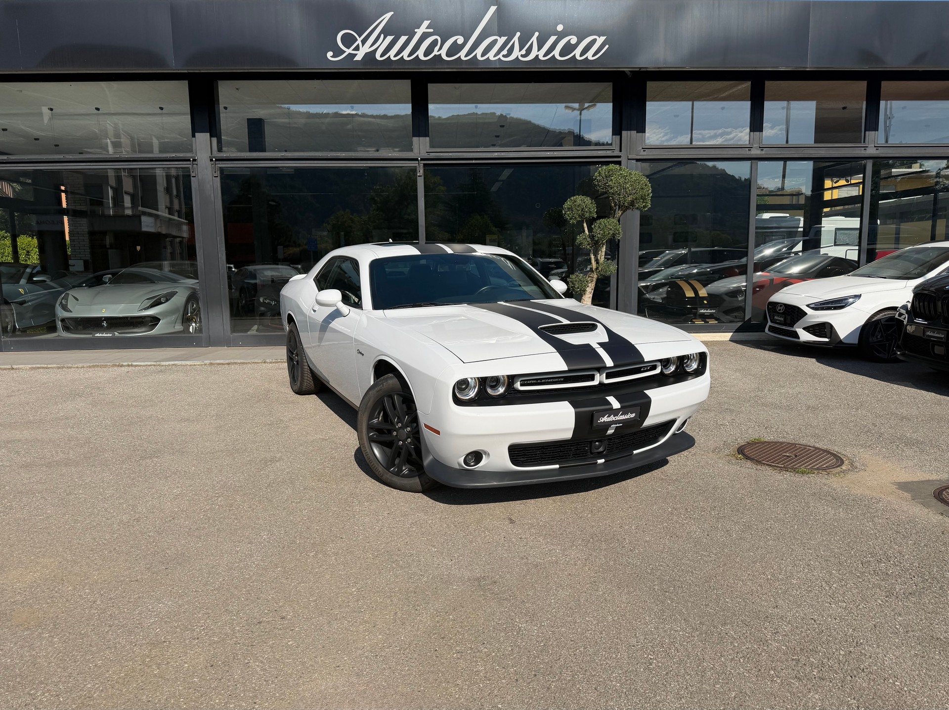 DODGE Challenger-image-0