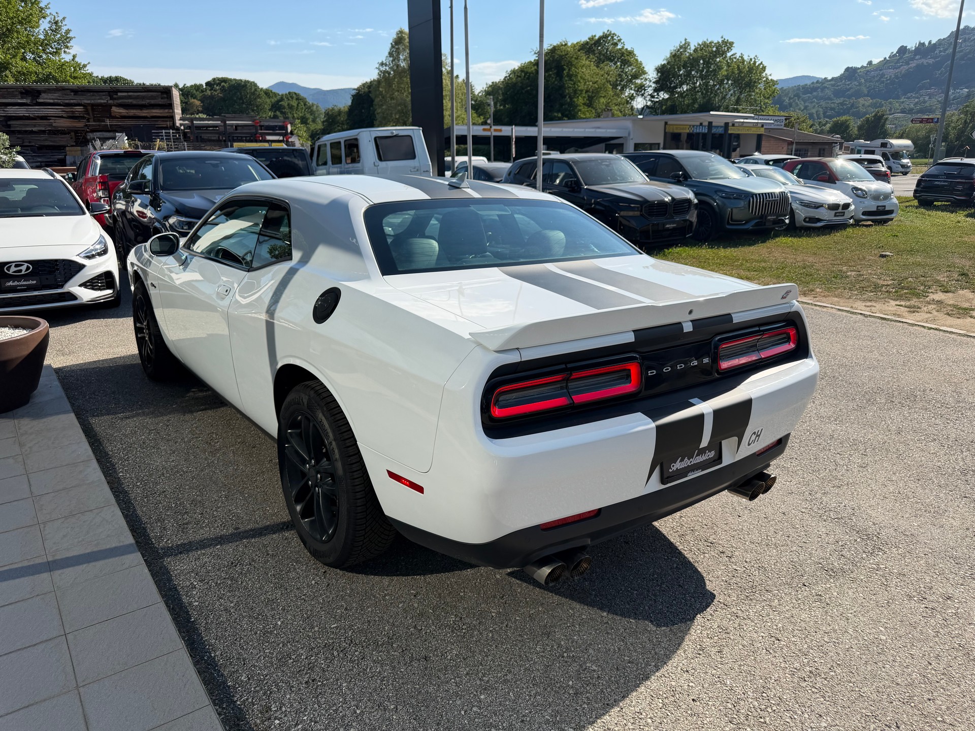 DODGE Challenger-image-6